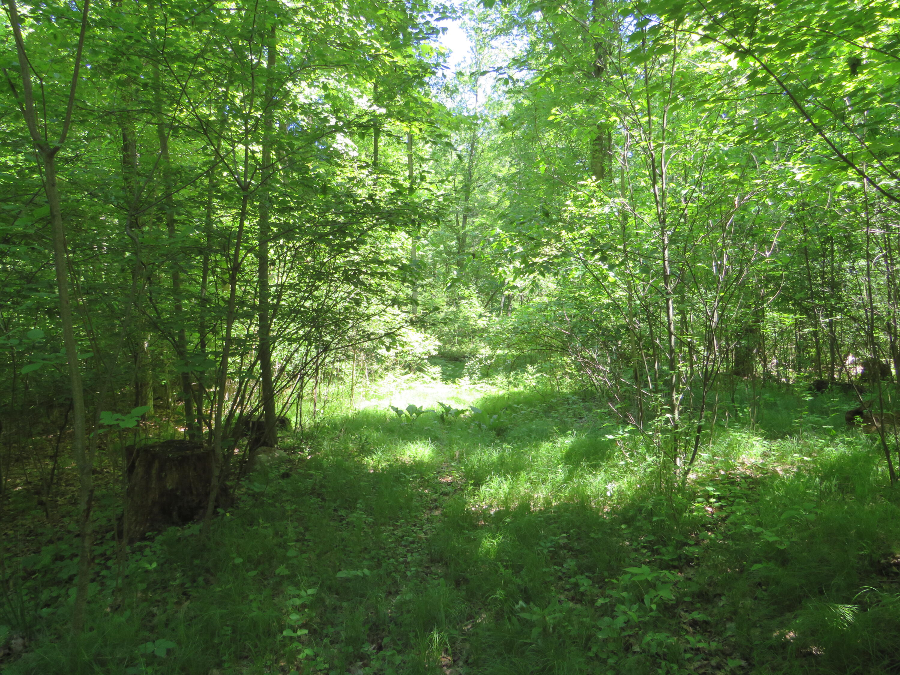 11000 N Vickeryville Road Property Photo 34
