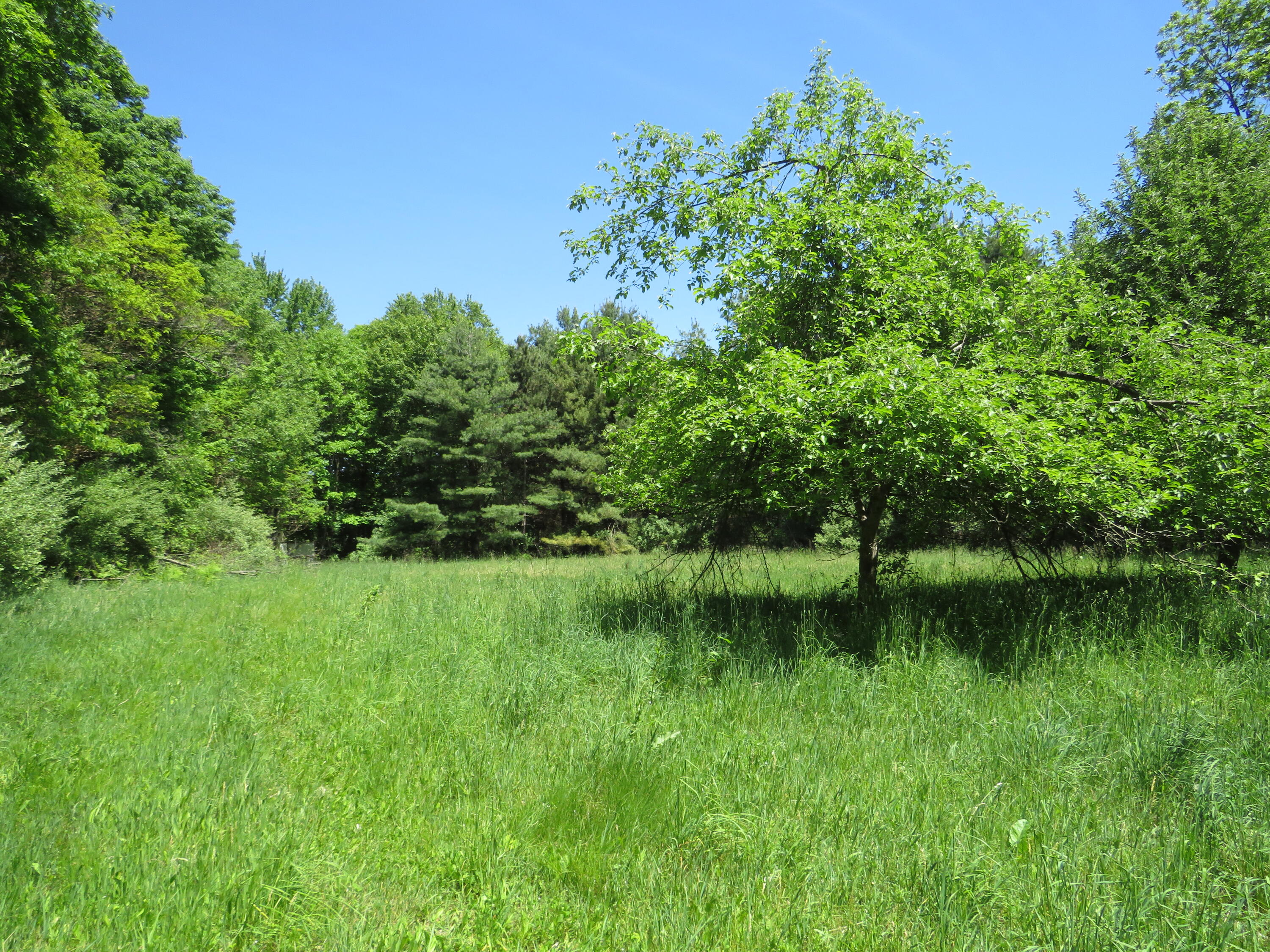 11000 N Vickeryville Road Property Photo 36