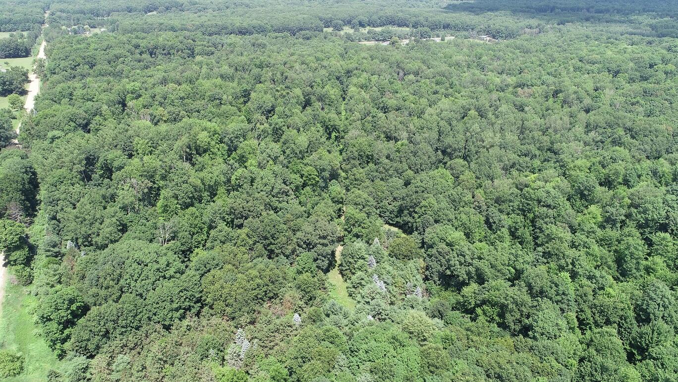11000 N Vickeryville Road Property Photo 58