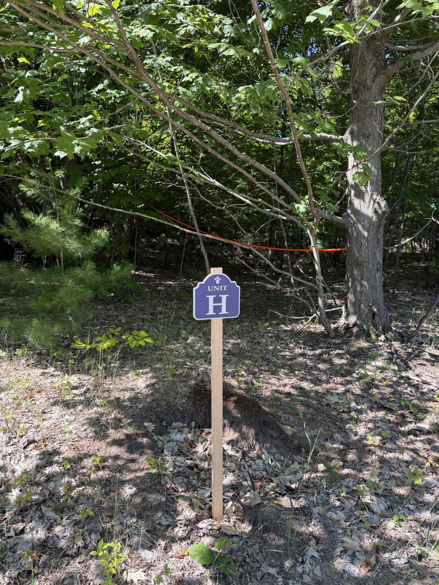 Sadie Ln Parcel 'h' Property Photo 3