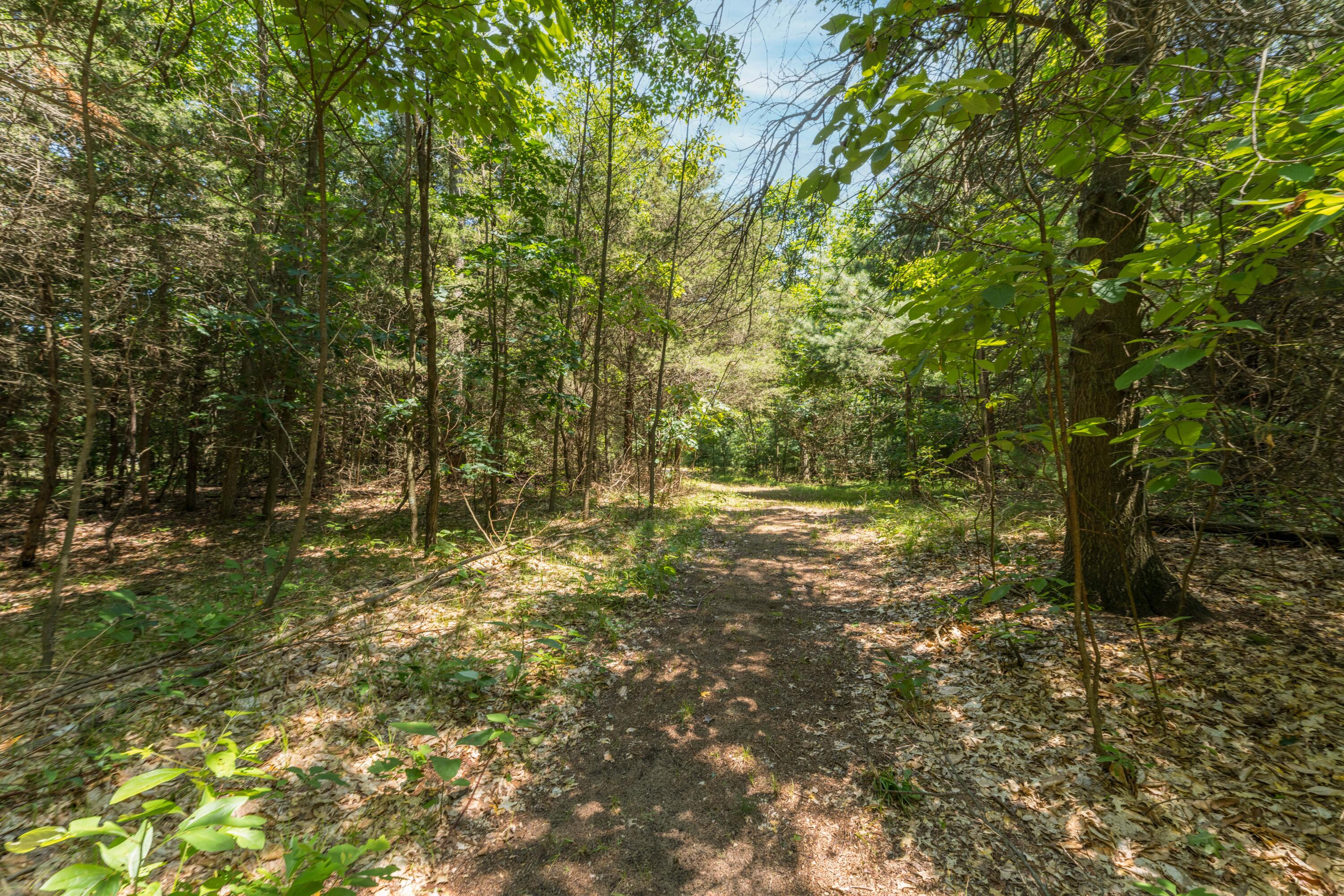 87 67th Street Property Photo 32