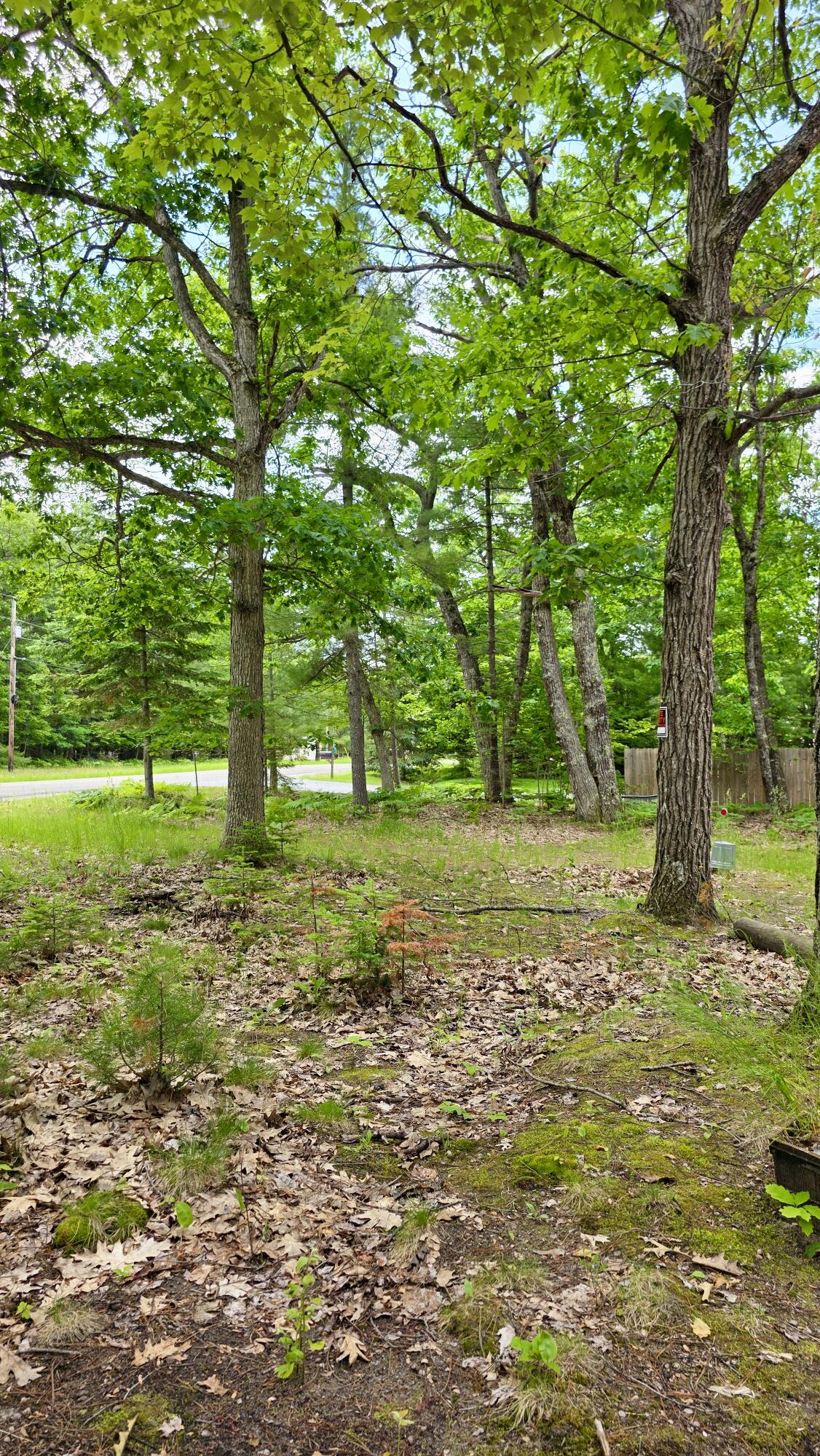 26034702 Property Photo 6