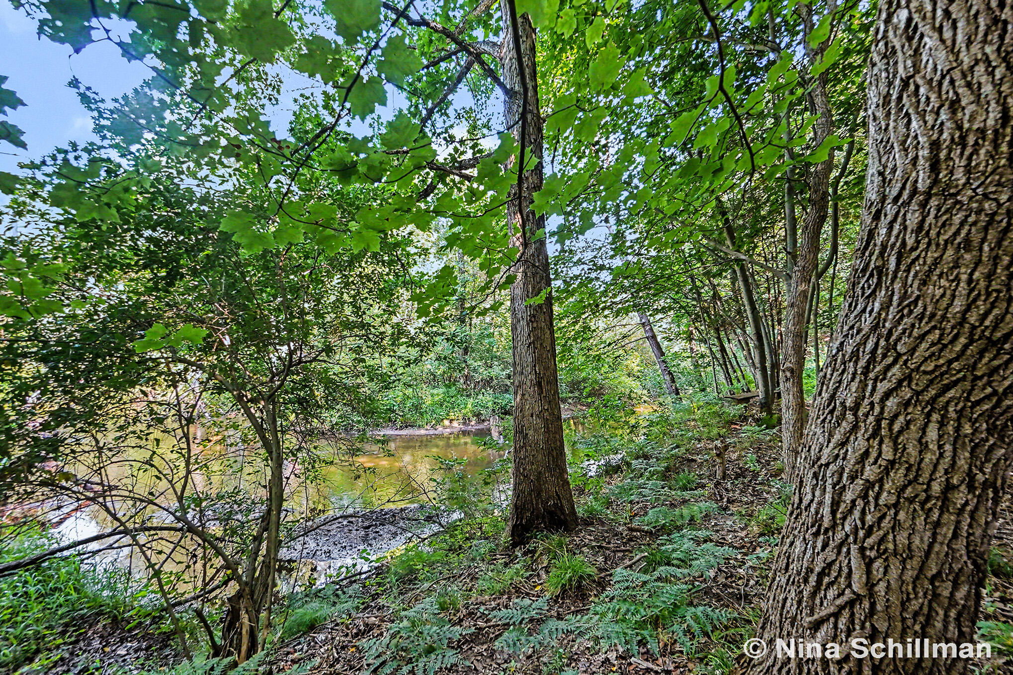 3754 E White River Property Photo 3
