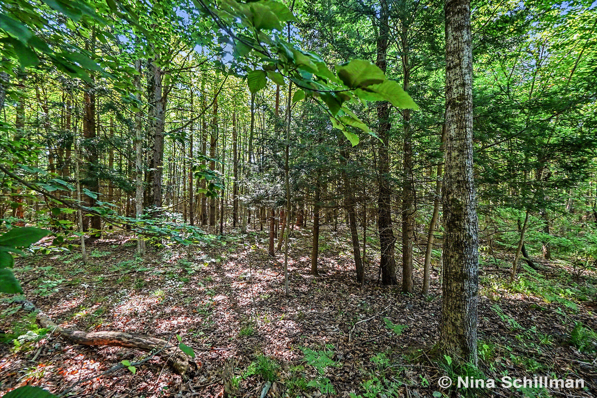 3754 E White River Property Photo 5