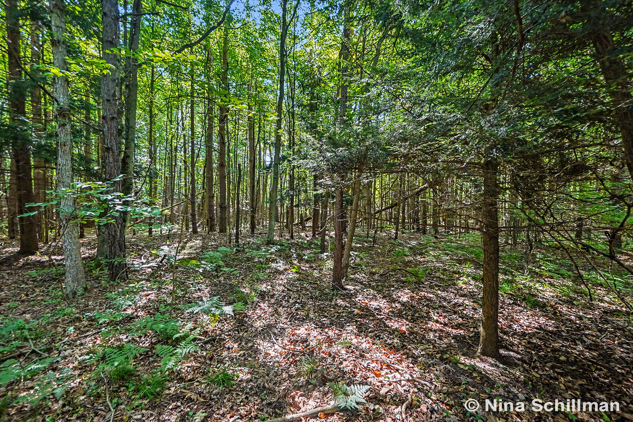 3754 E White River Property Photo 6