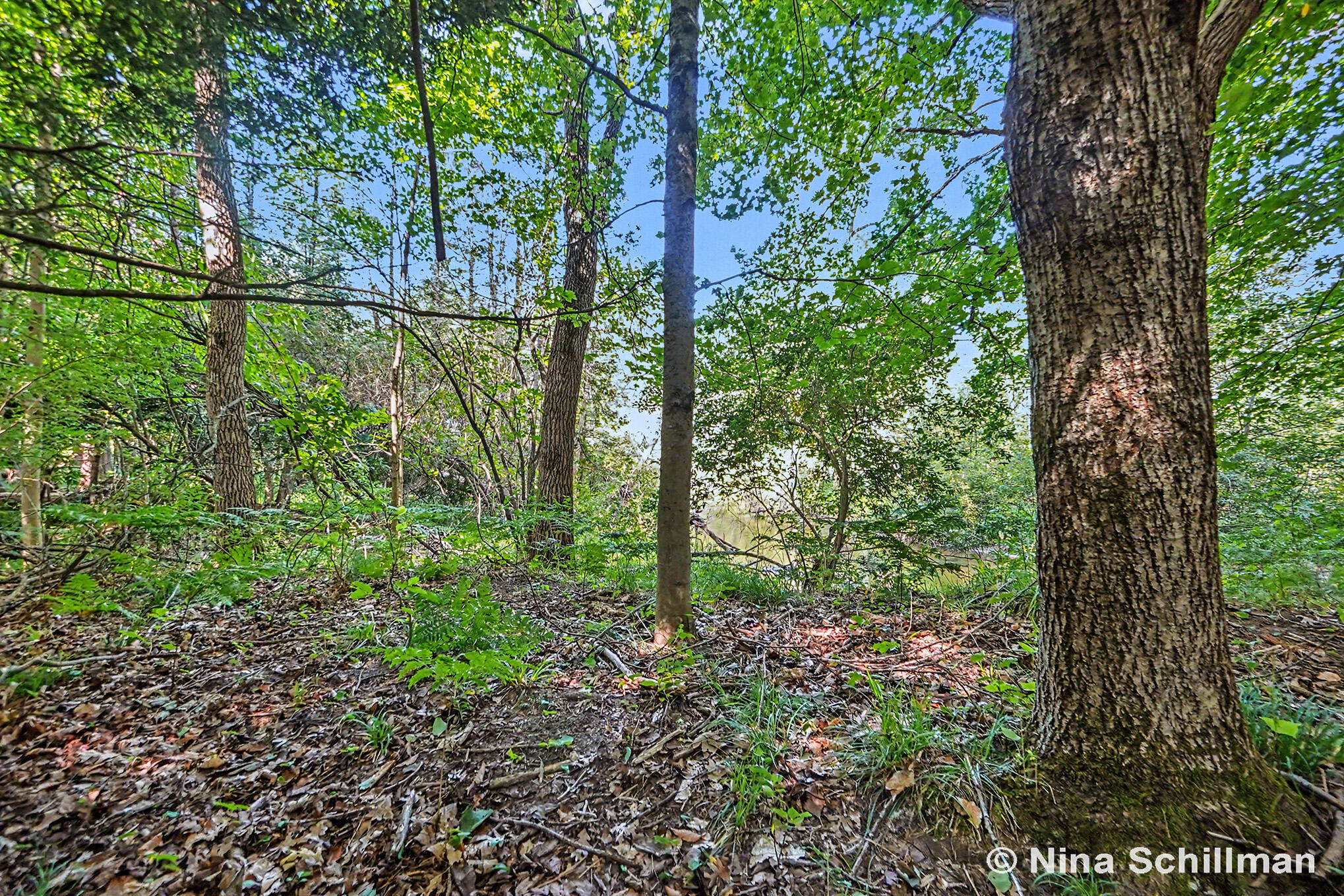 3754 E White River Property Photo 7