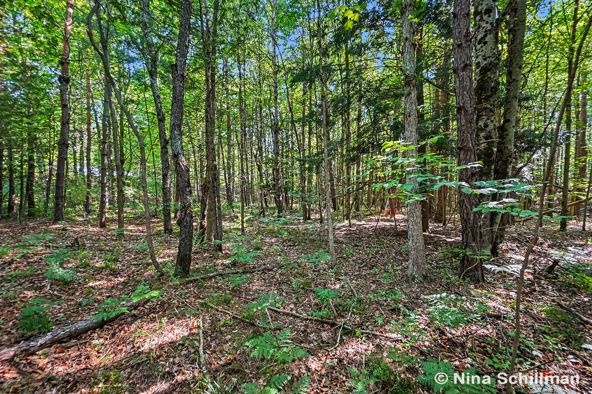 3754 E White River Property Photo 8