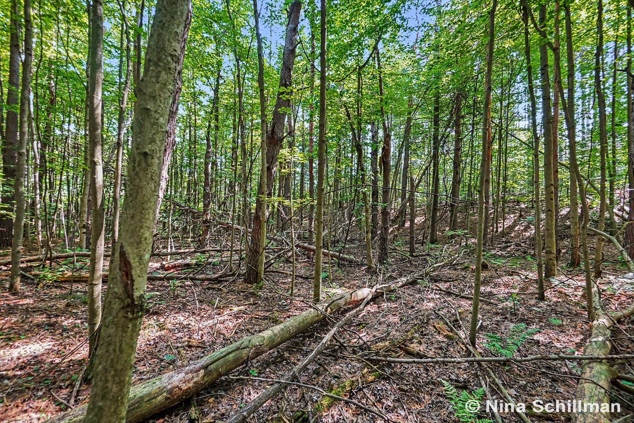 3754 E White River Property Photo 9