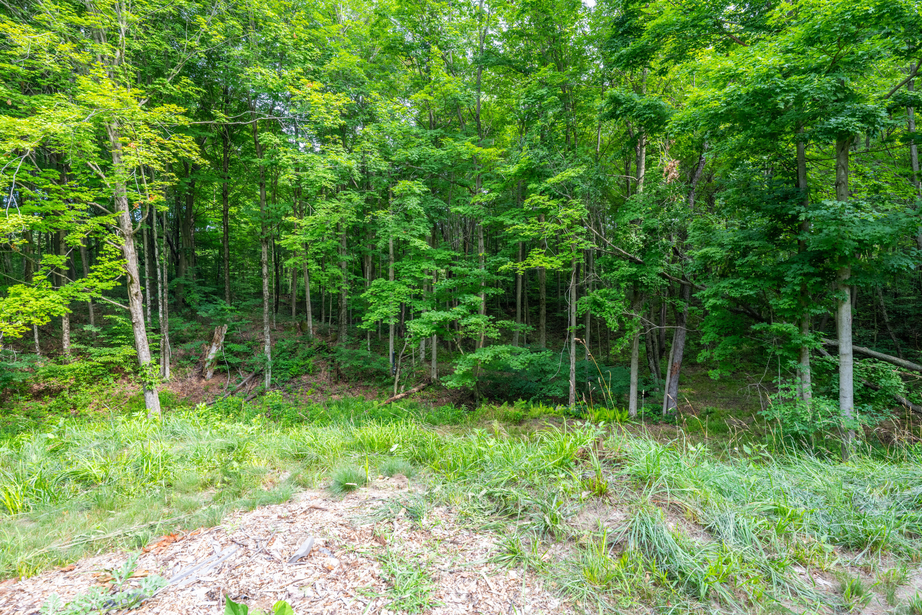 412 63rd Street Property Photo 5