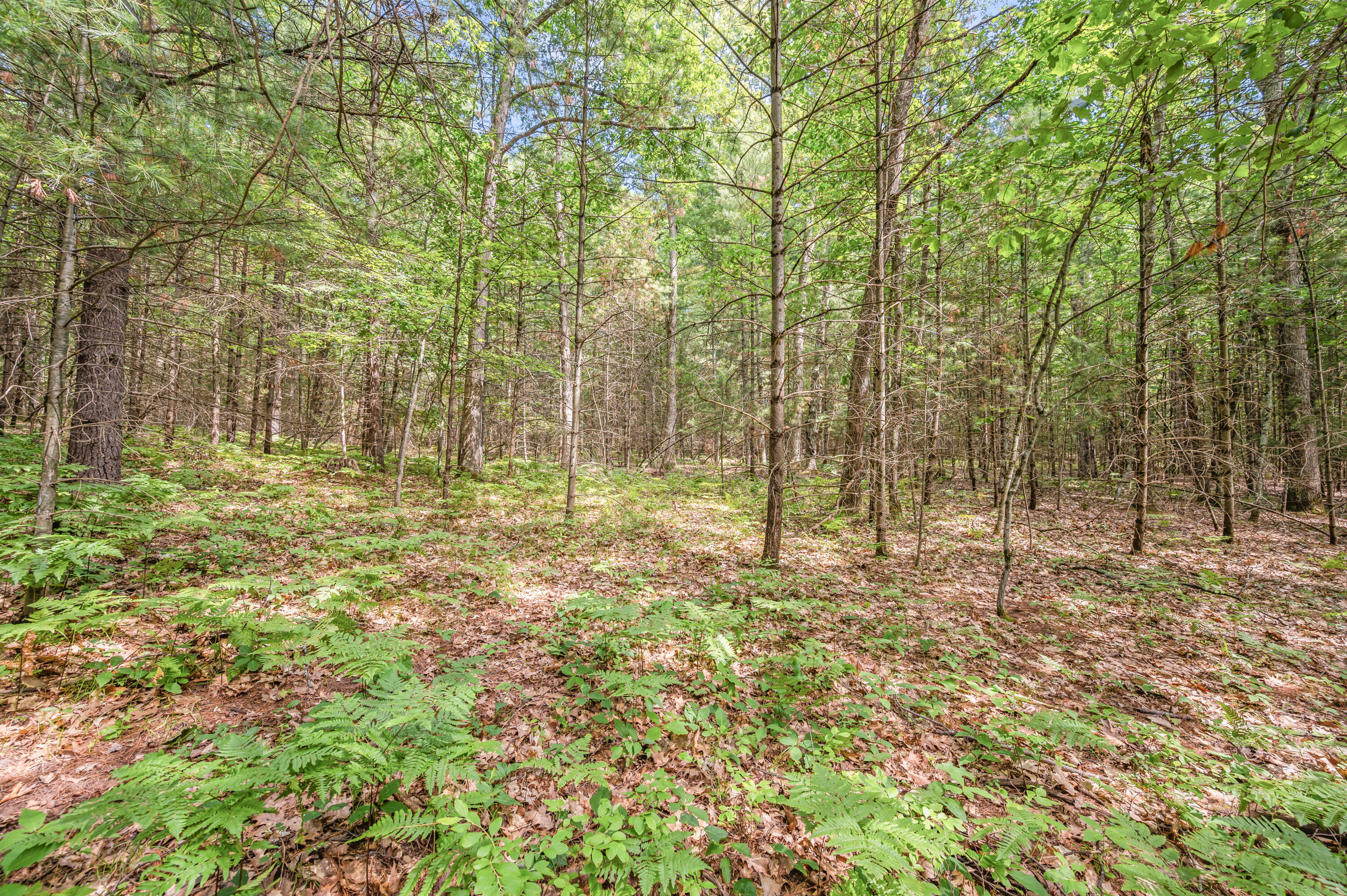Par 15 W 12 Mile Road Property Photo 3