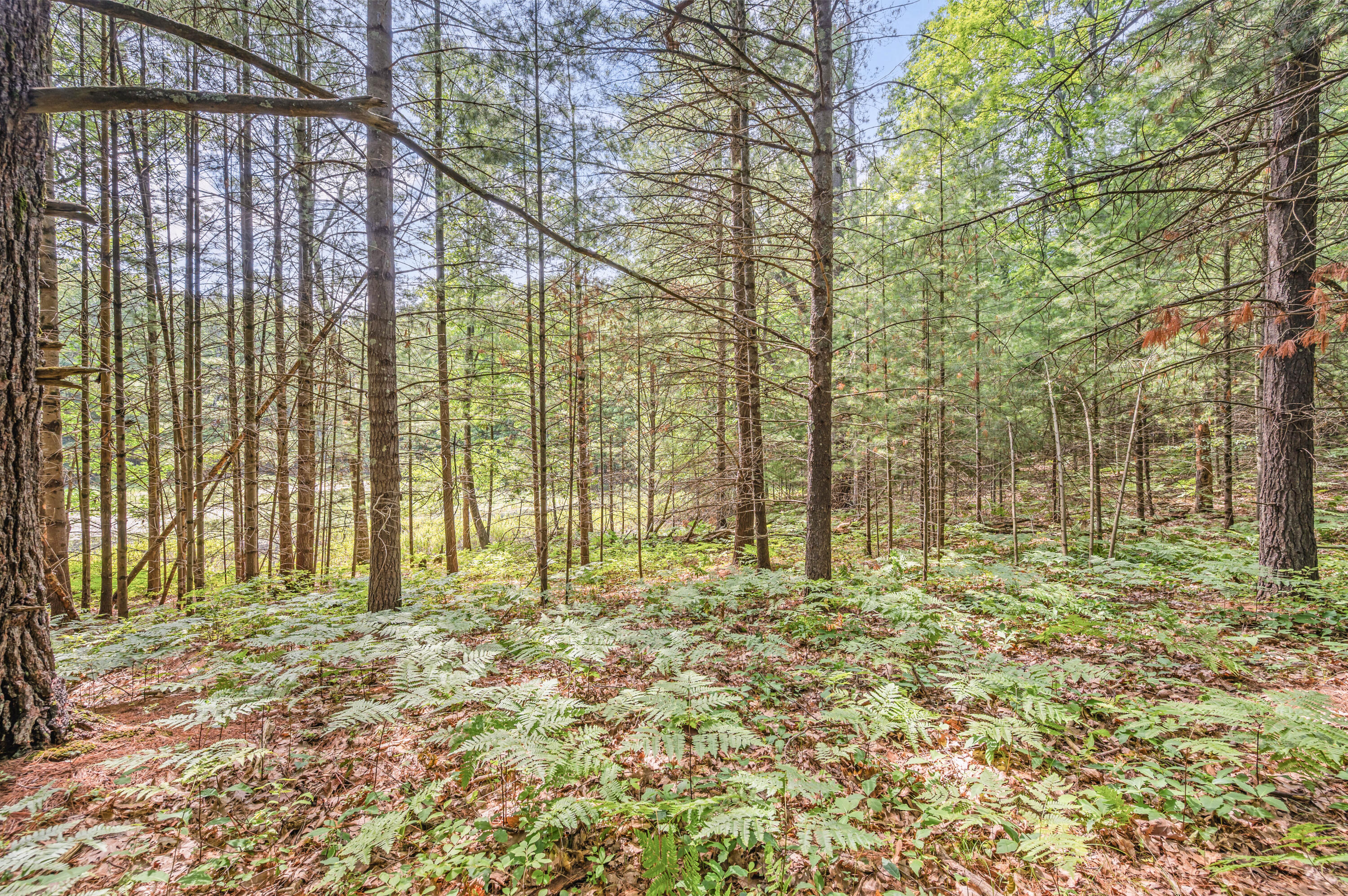 Par 15 W 12 Mile Road Property Photo 4