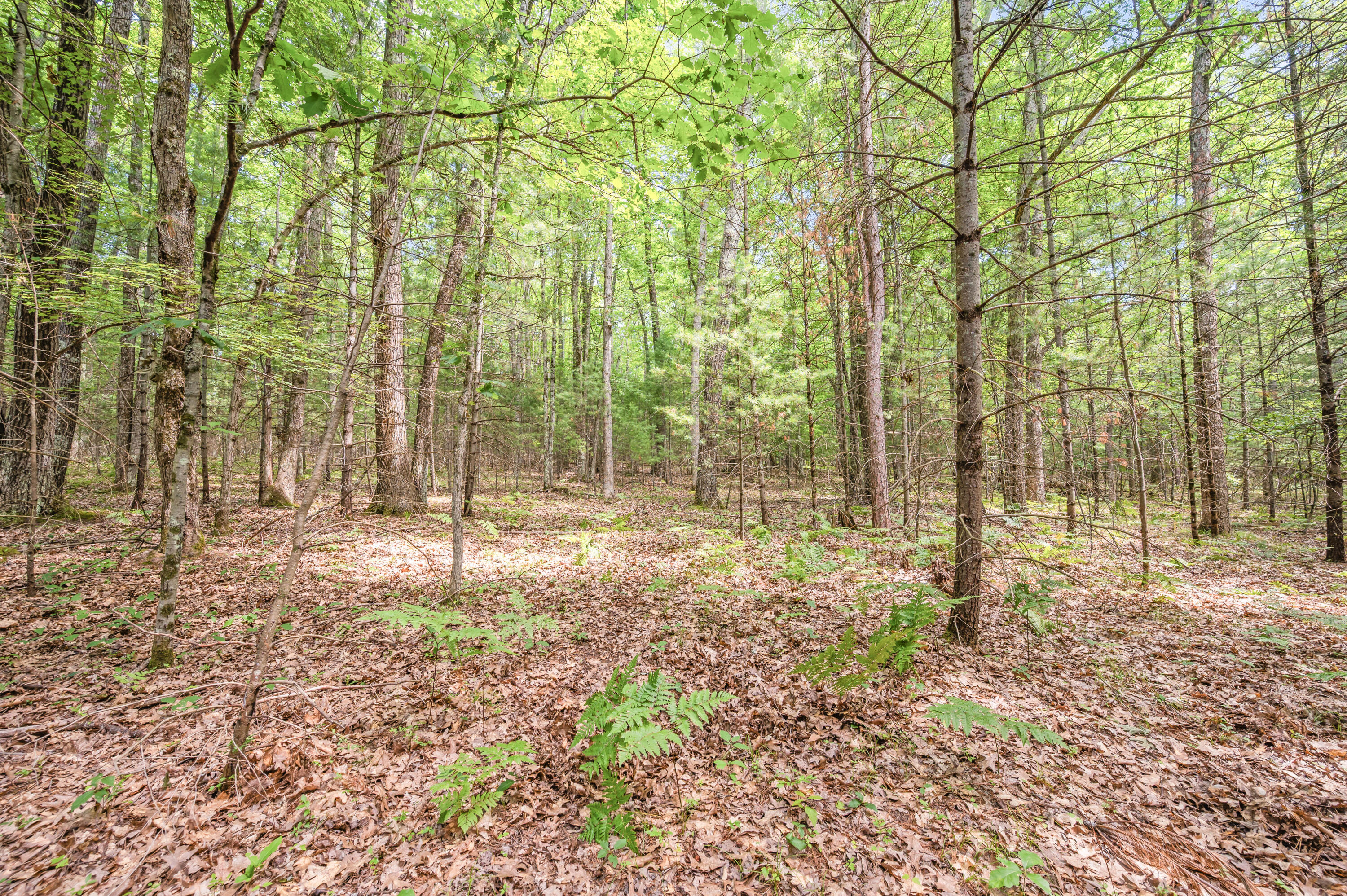 Par 15 W 12 Mile Road Property Photo 5