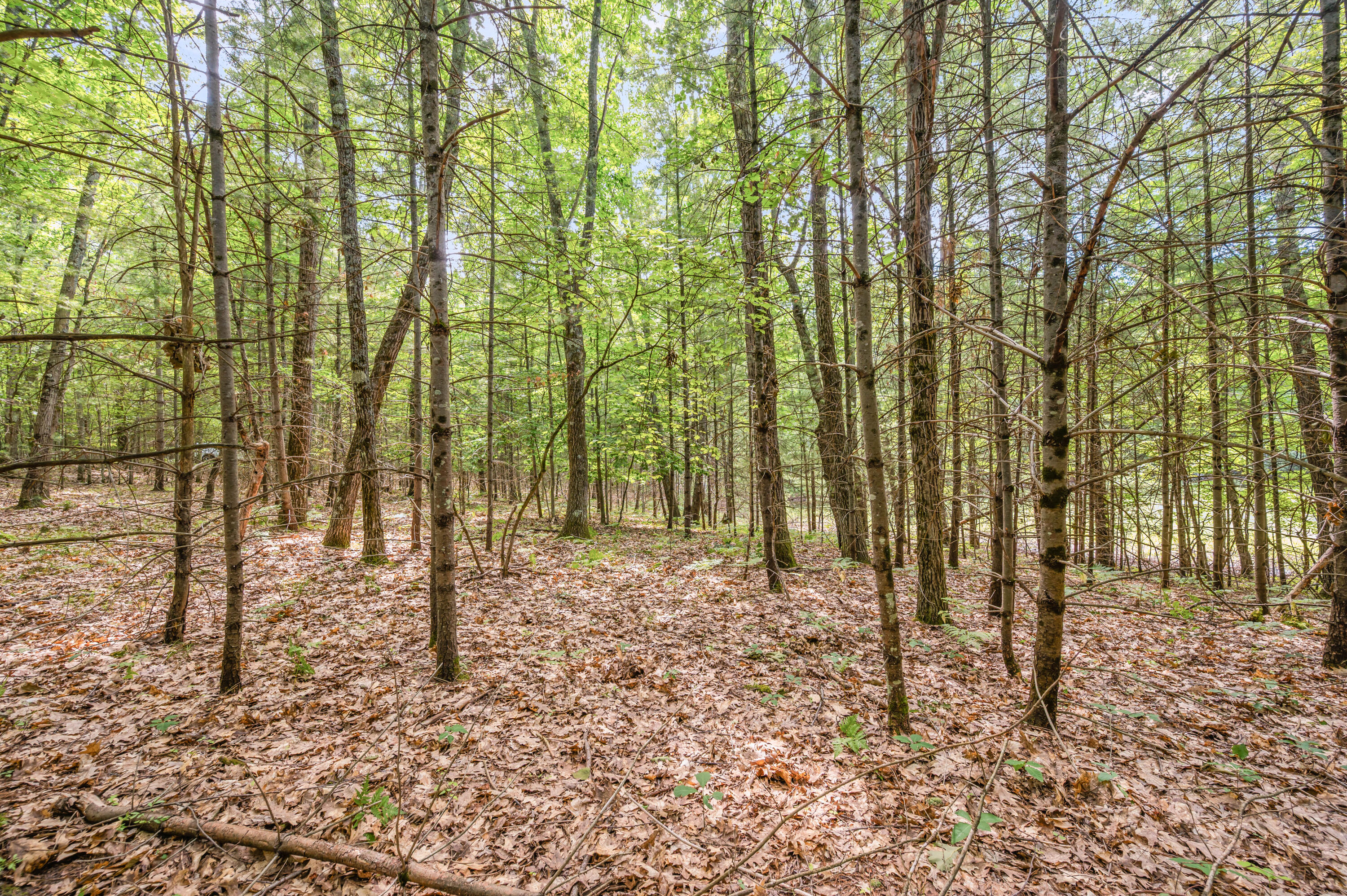 Par 15 W 12 Mile Road Property Photo 6