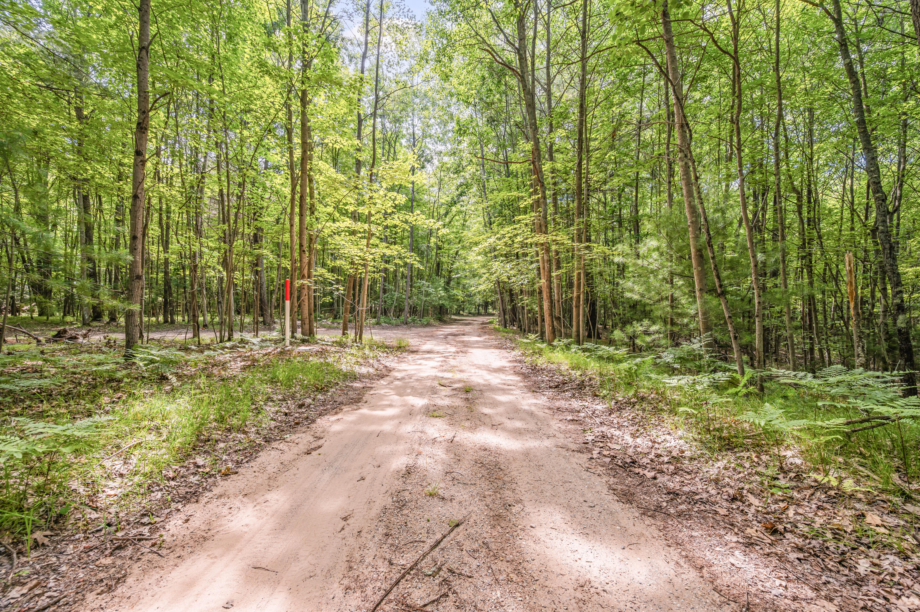 Par 15 W 12 Mile Road Property Photo 7