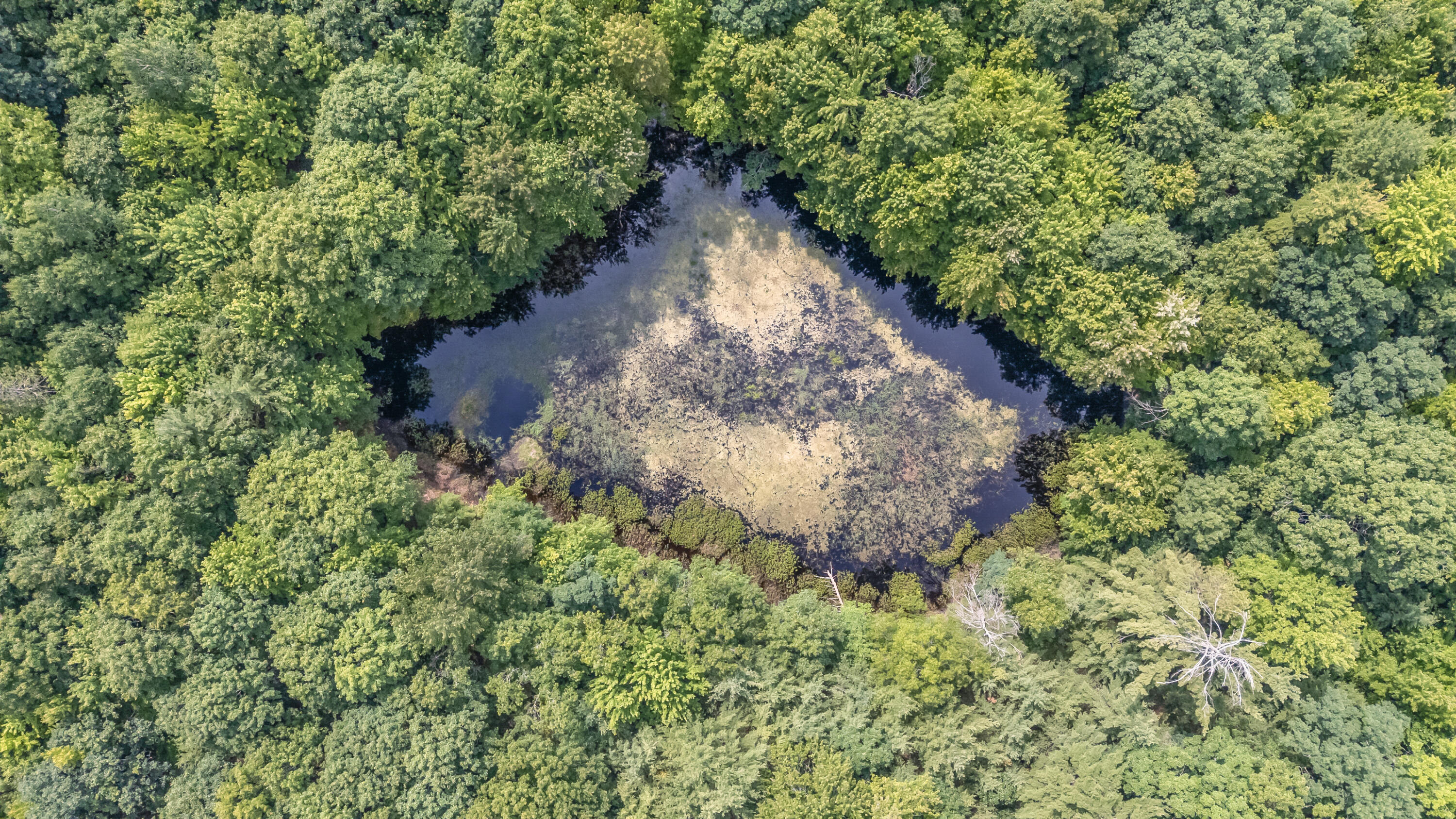 Par 15 W 12 Mile Road Property Photo 8