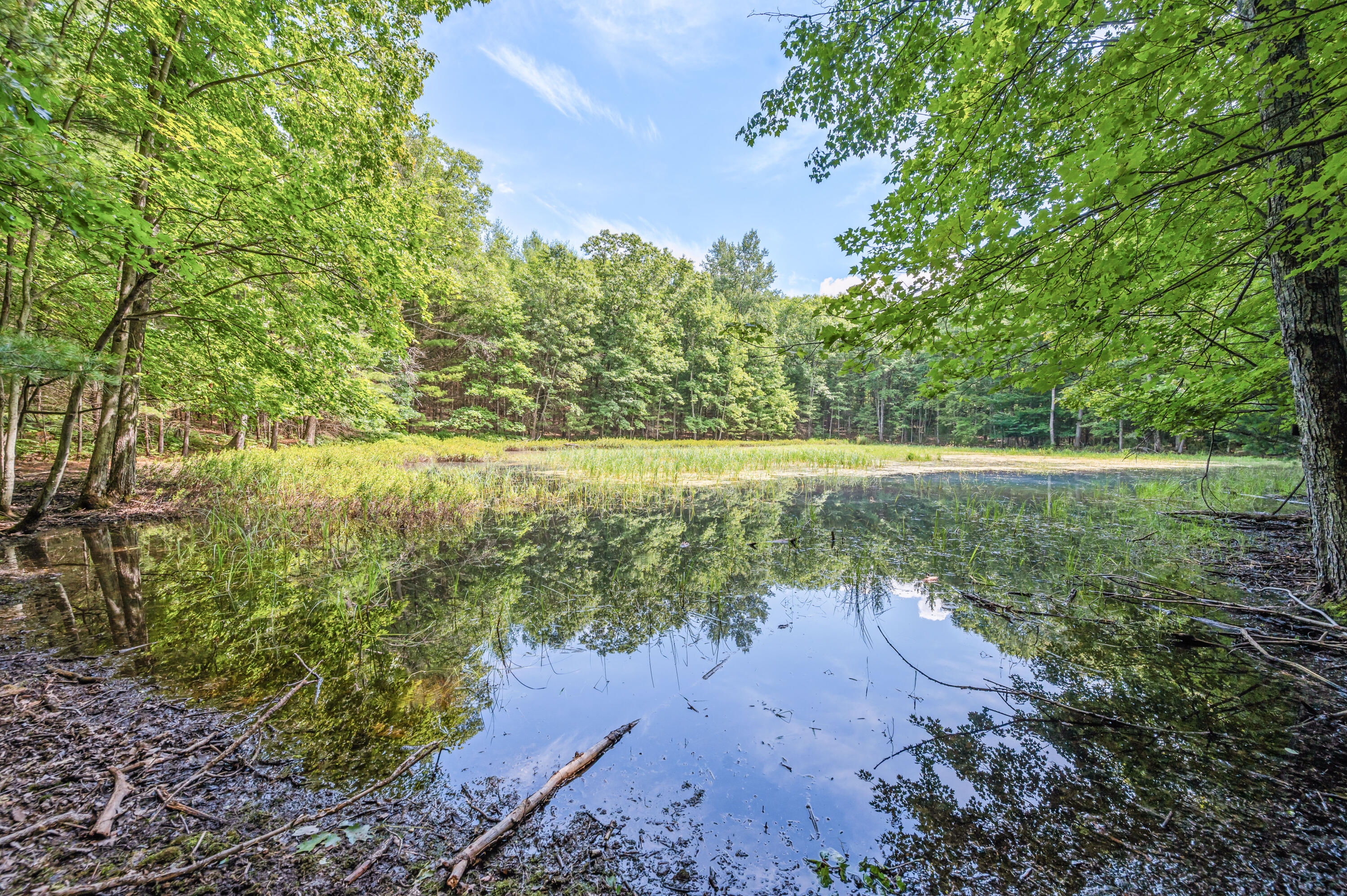 Par 15 W 12 Mile Road Property Photo 10