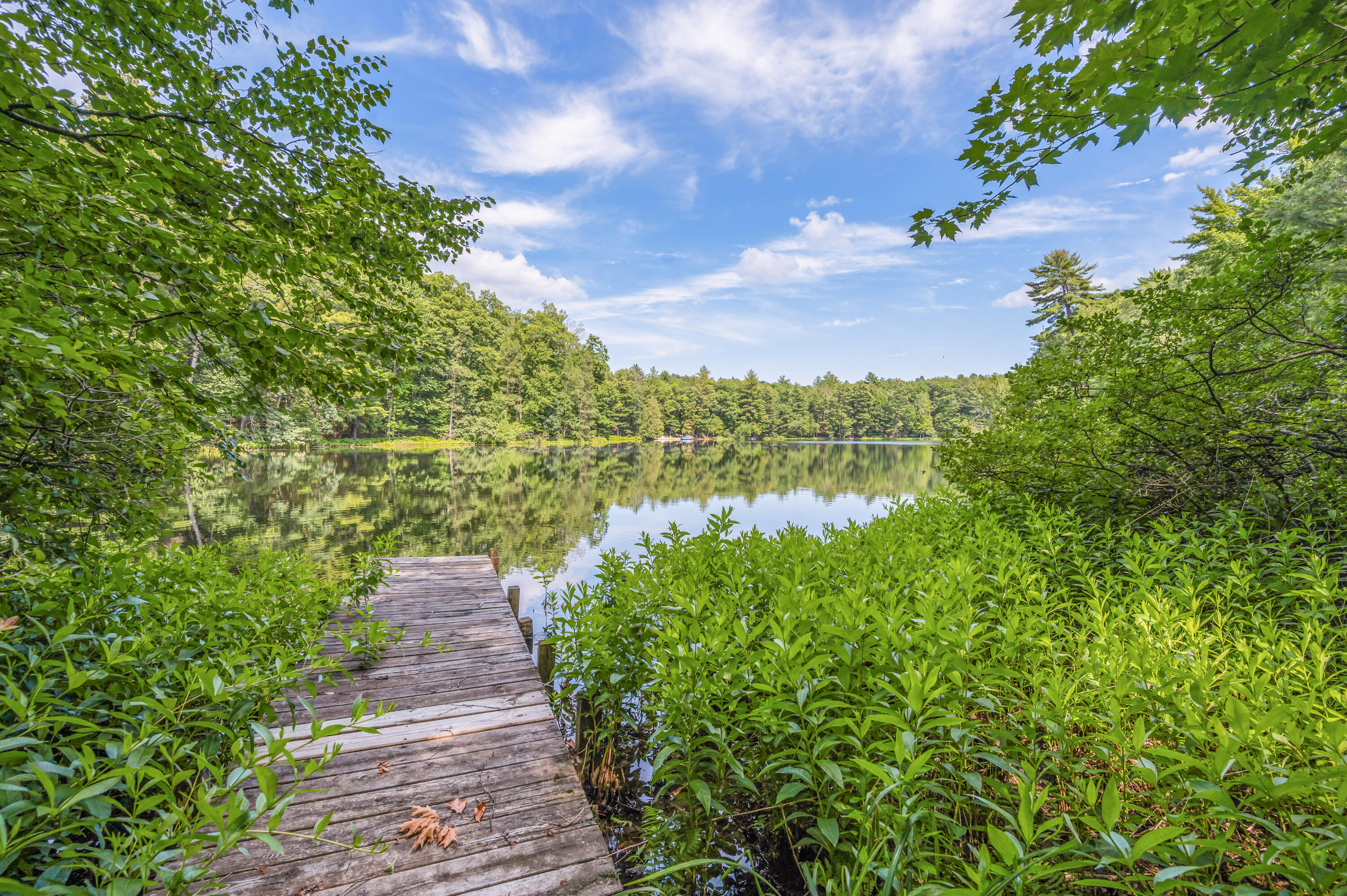 Par 15 W 12 Mile Road Property Photo 12