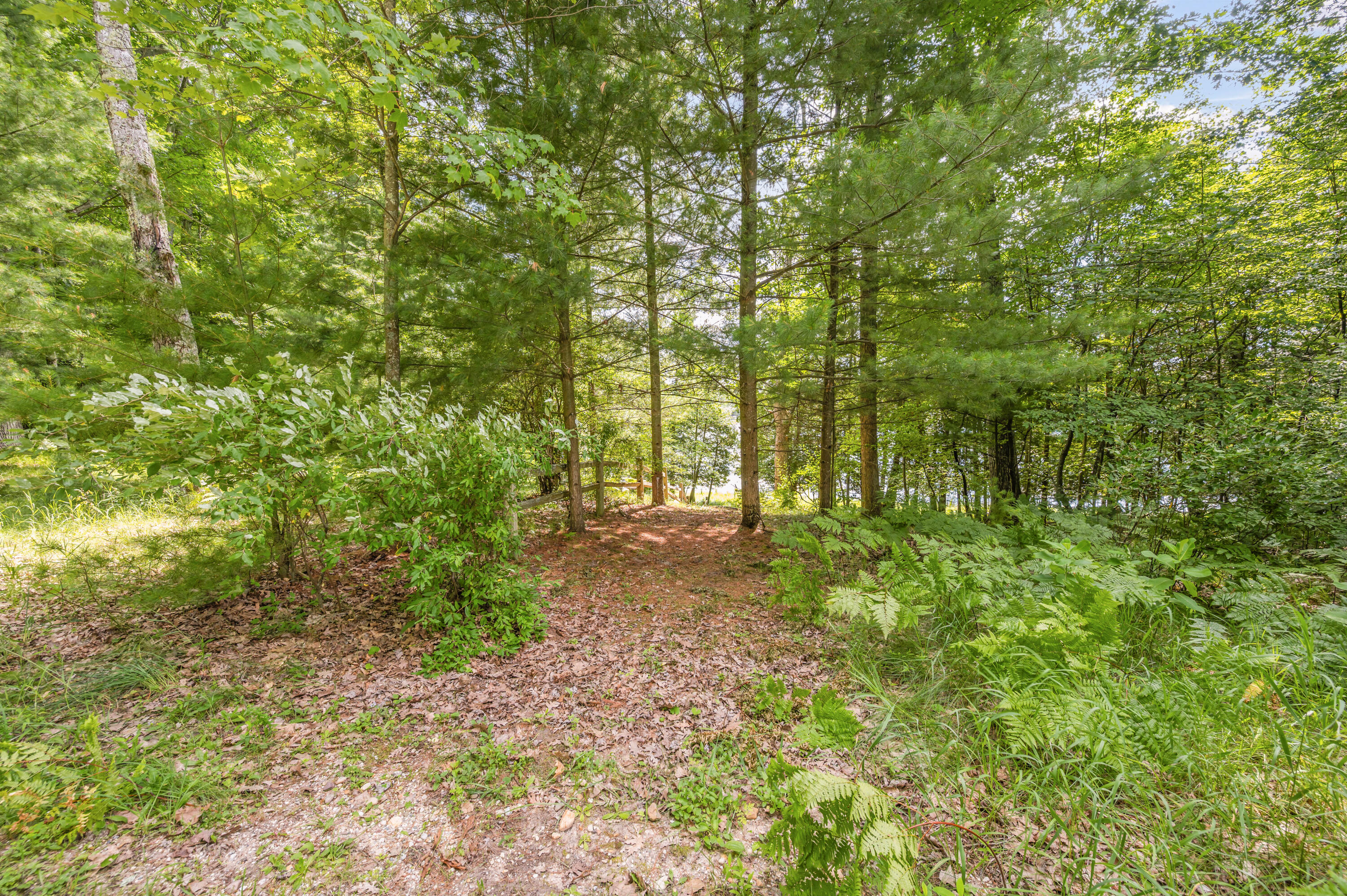 Par 15 W 12 Mile Road Property Photo 18