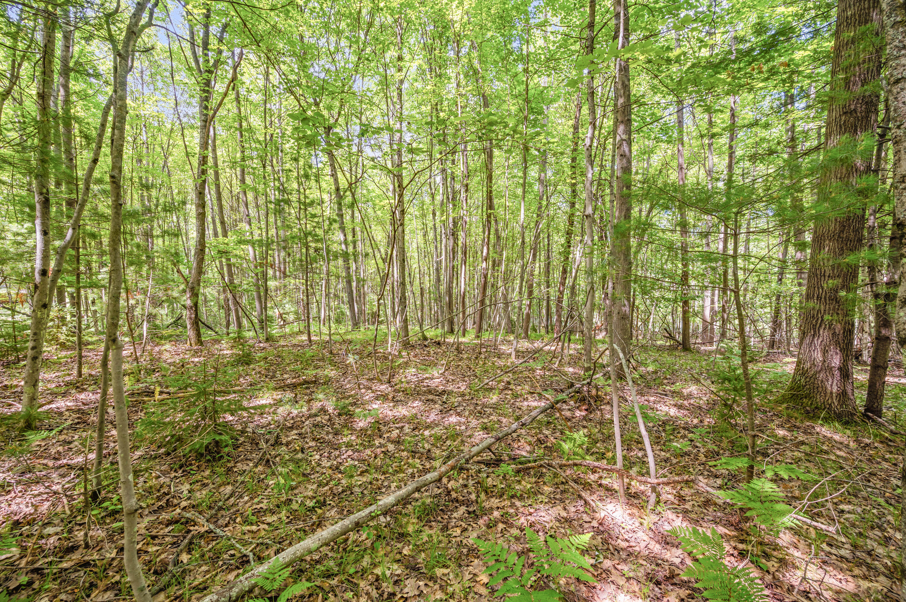 Par 15 W 12 Mile Road Property Photo 19