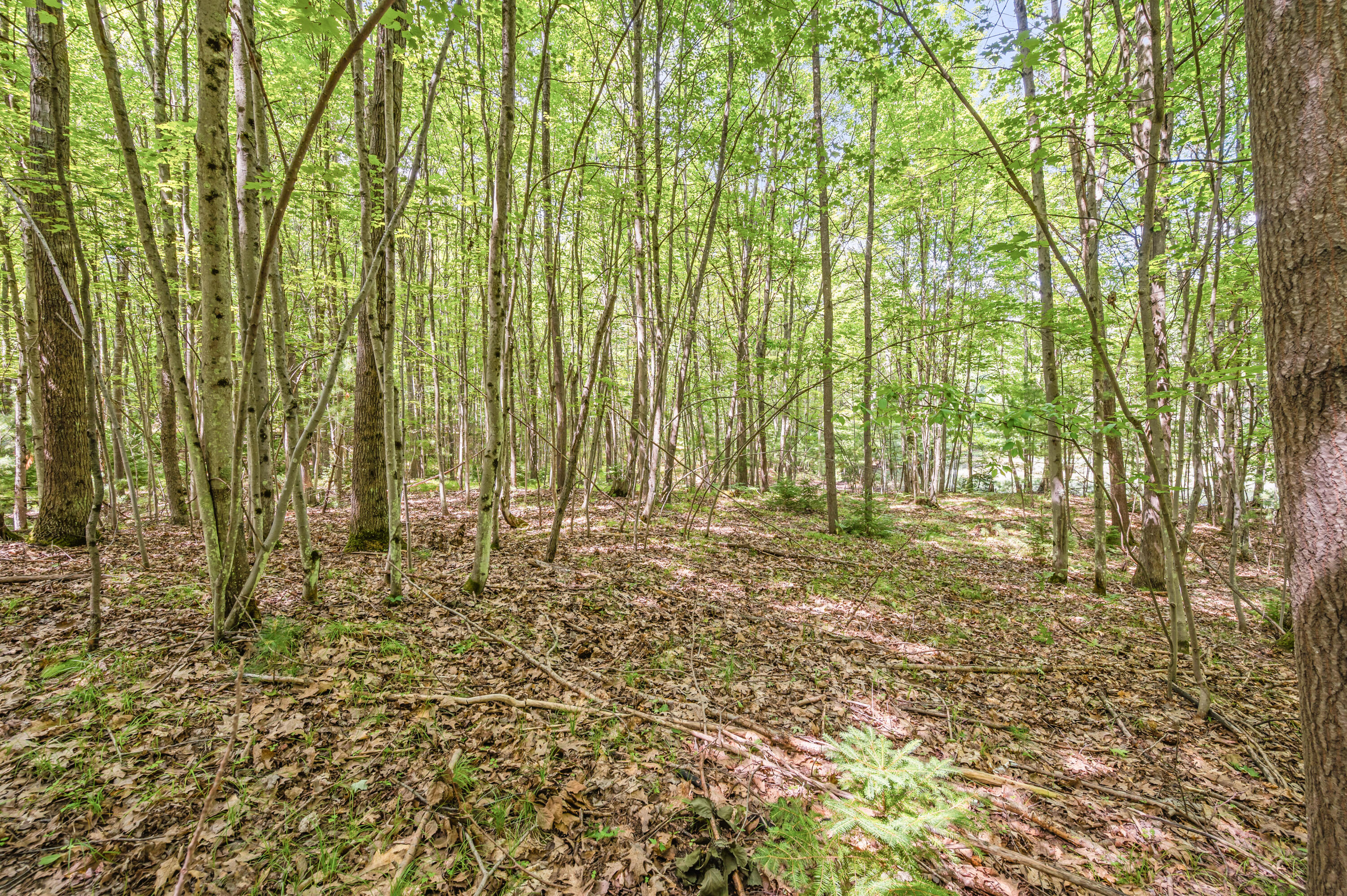 Par 15 W 12 Mile Road Property Photo 20