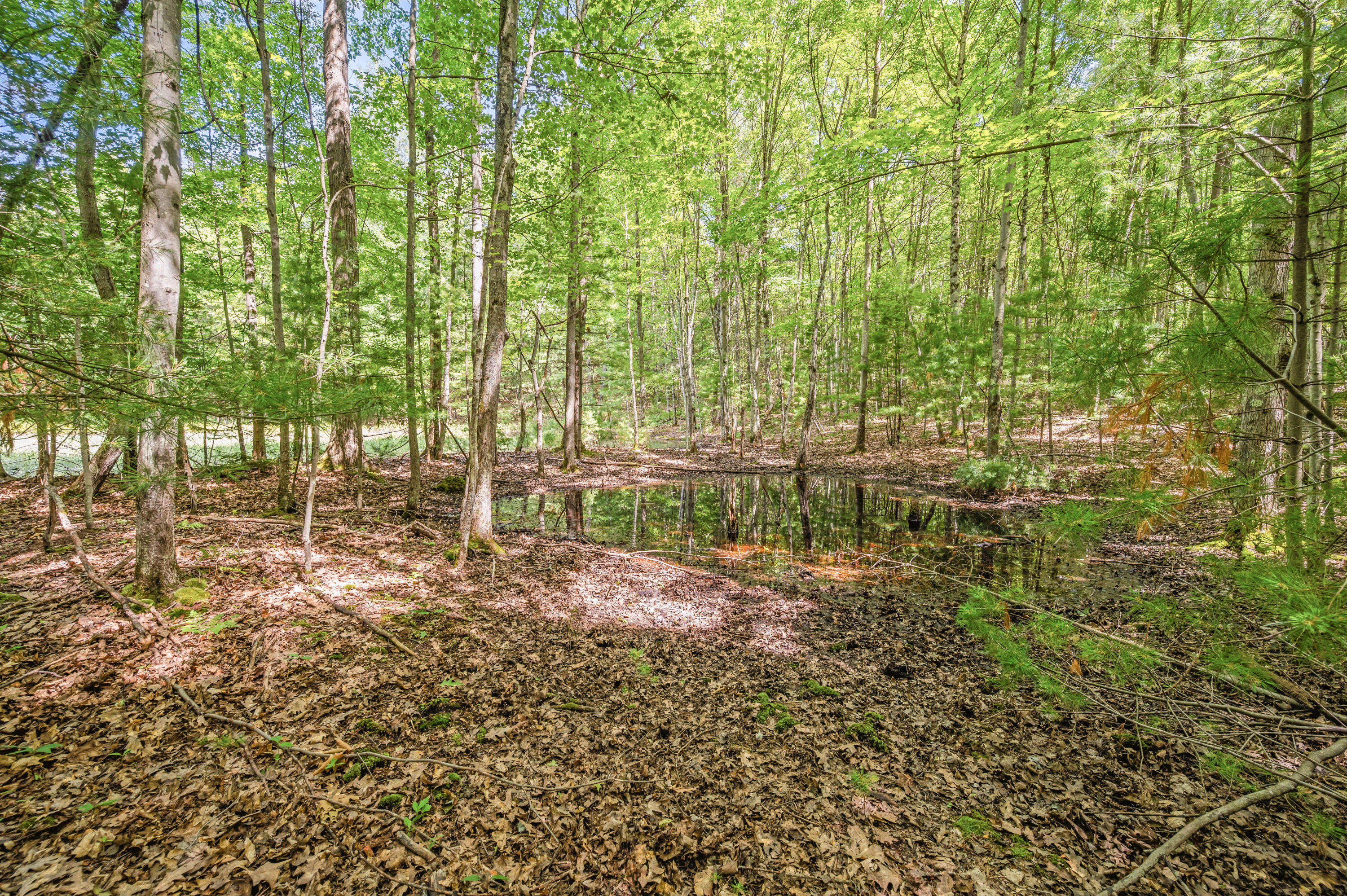 Par 15 W 12 Mile Road Property Photo 21