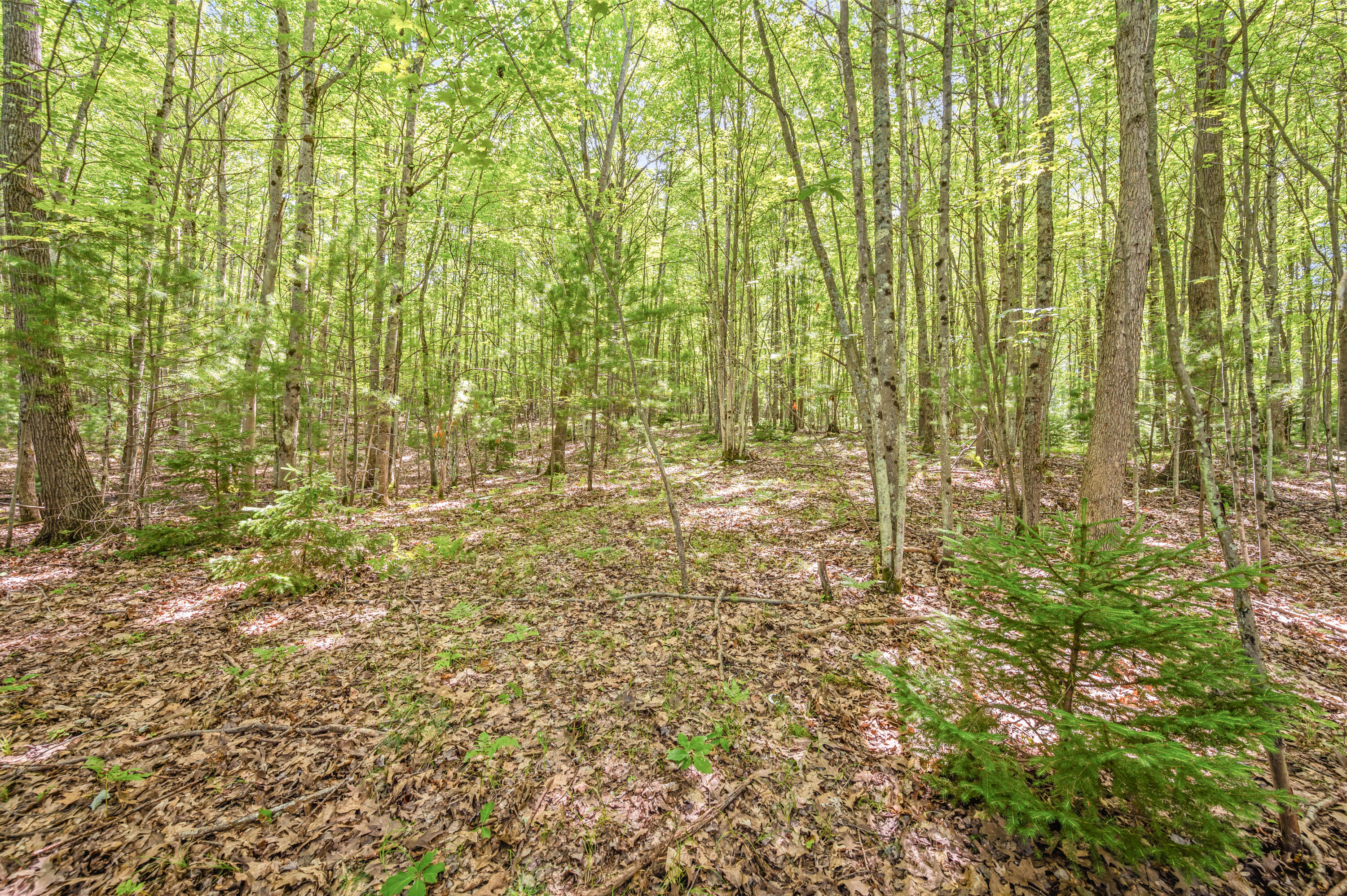 Par 15 W 12 Mile Road Property Photo 22