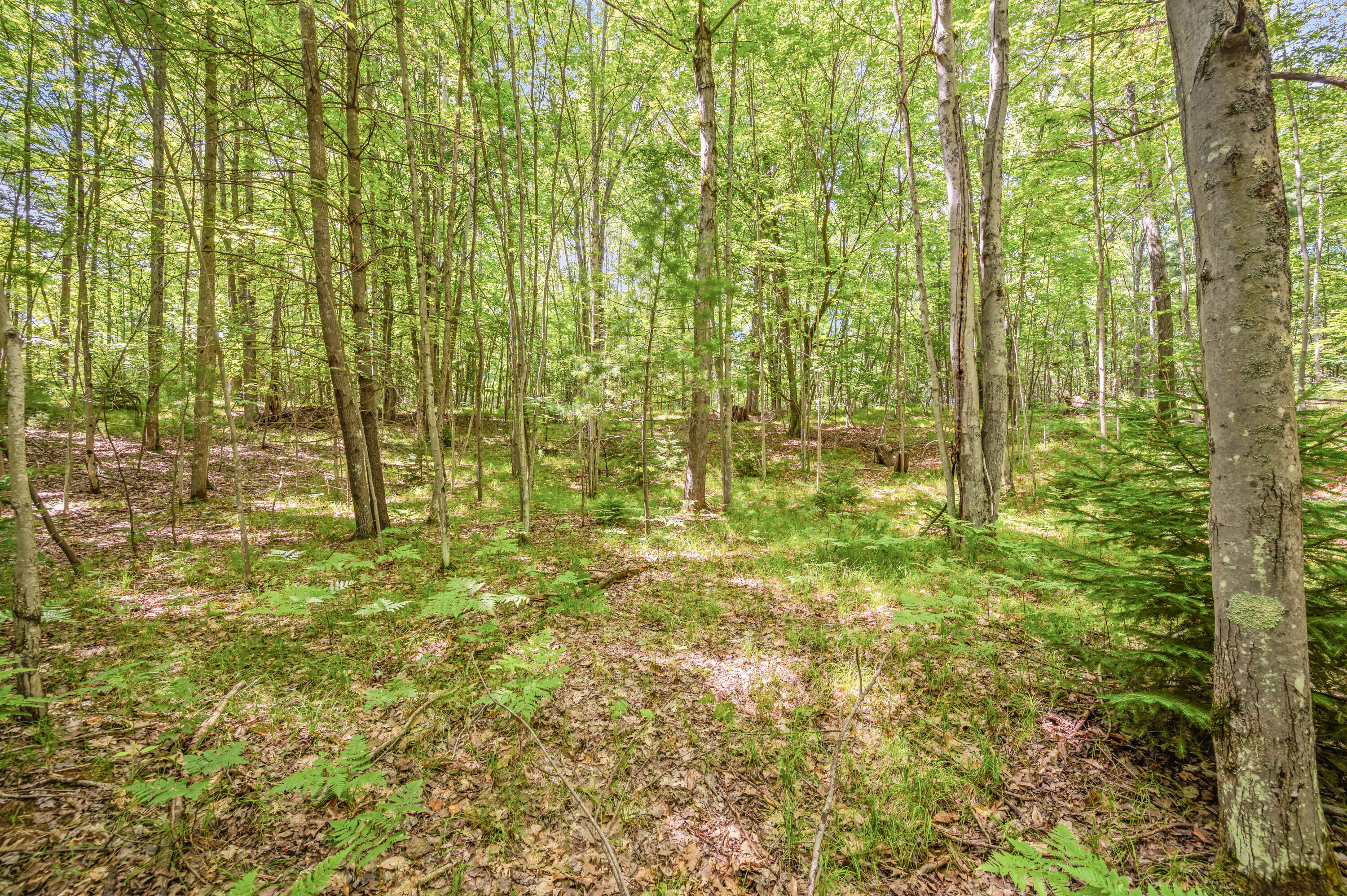 Par 15 W 12 Mile Road Property Photo 23