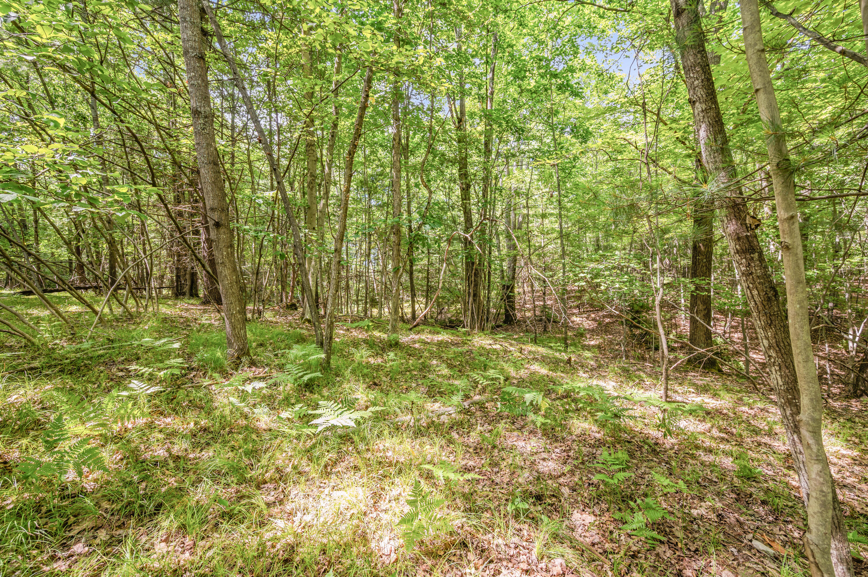 Par 15 W 12 Mile Road Property Photo 24