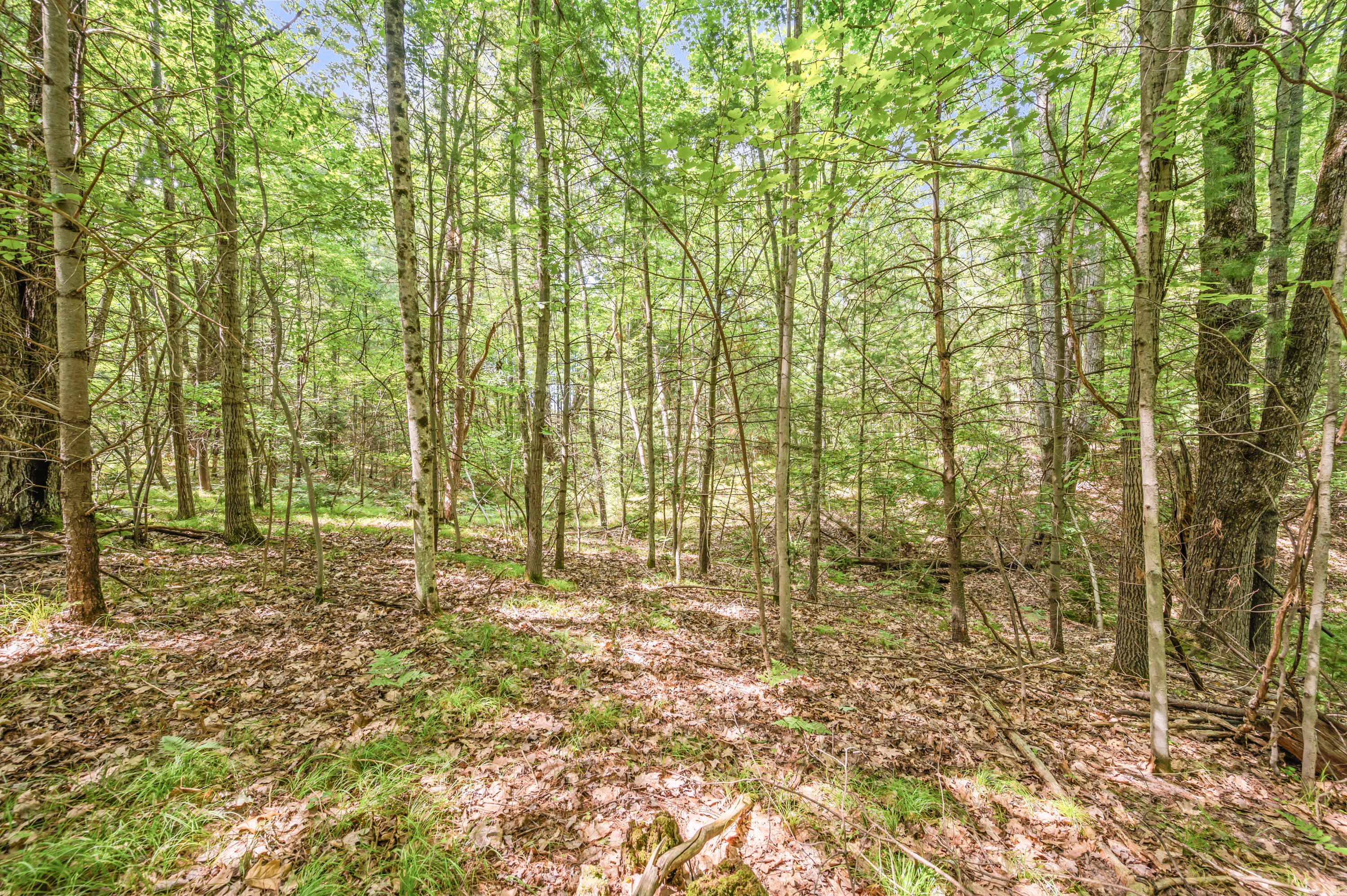 Par 15 W 12 Mile Road Property Photo 25