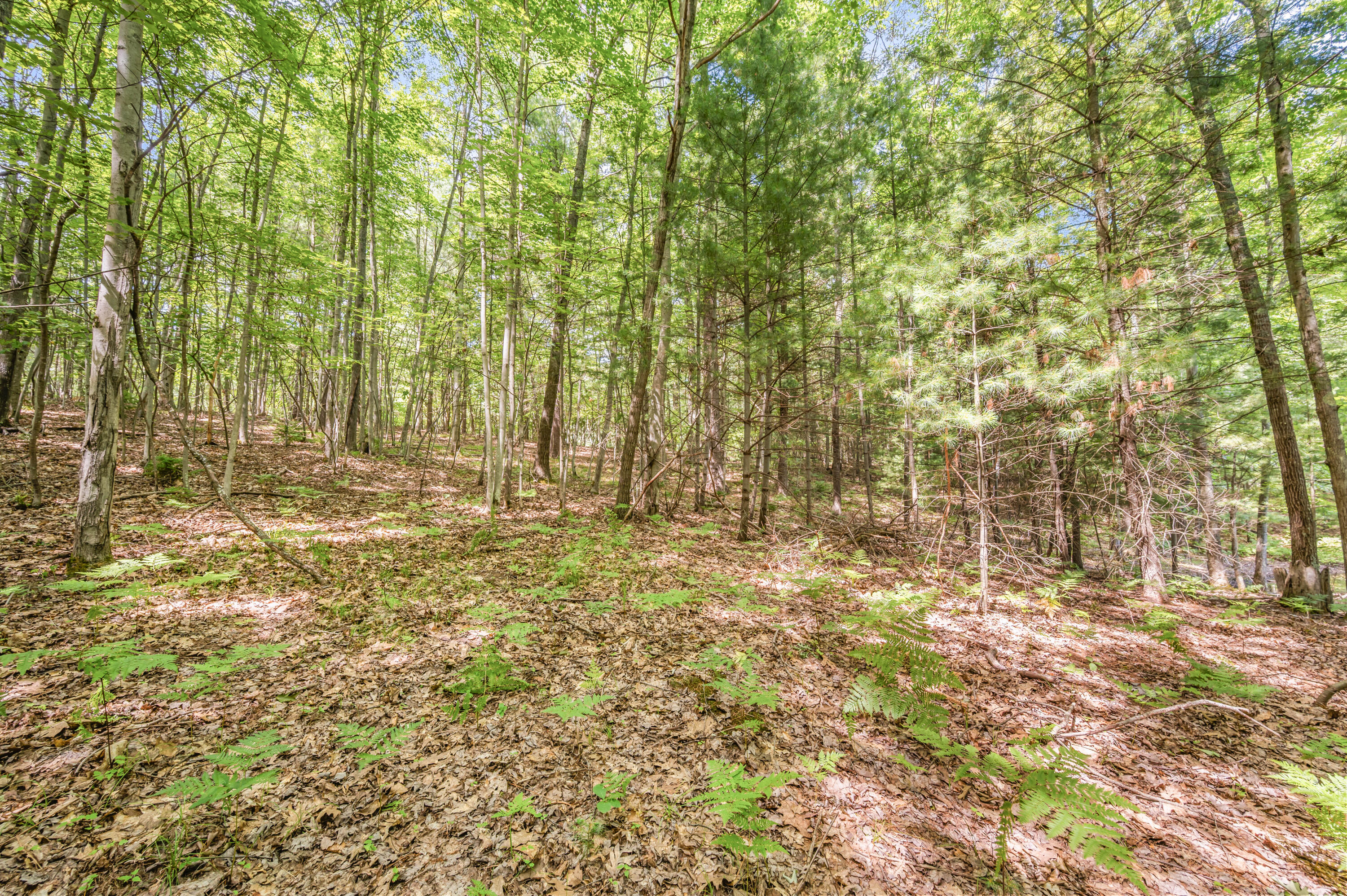Par 15 W 12 Mile Road Property Photo 26