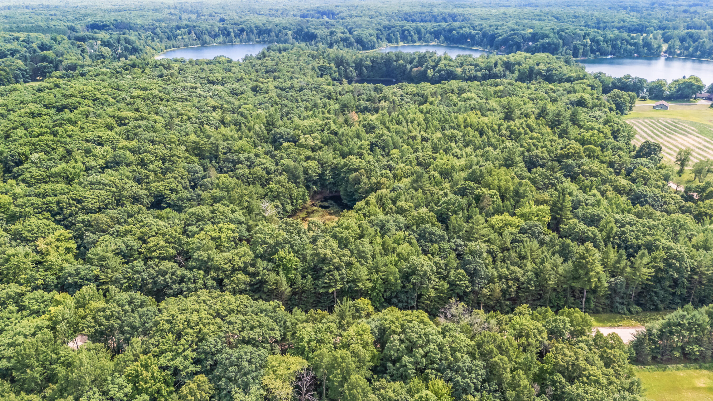 Par 15 W 12 Mile Road Property Photo 28