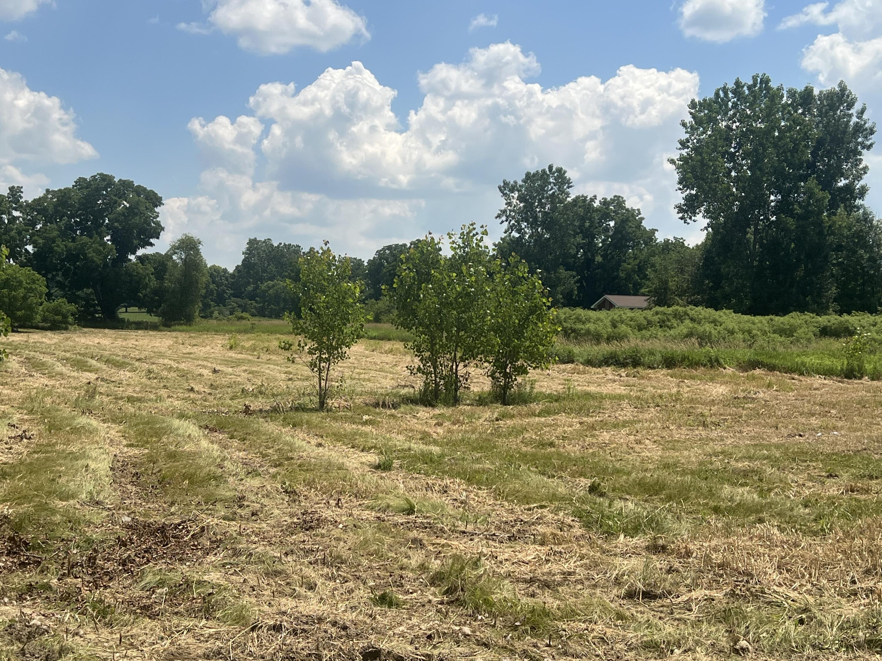 3985 Robert Lane Property Photo 7