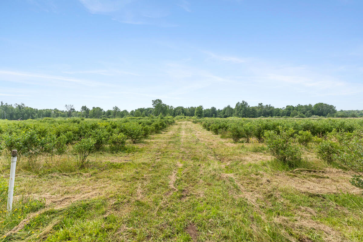 2900 W River Road Property Photo 4