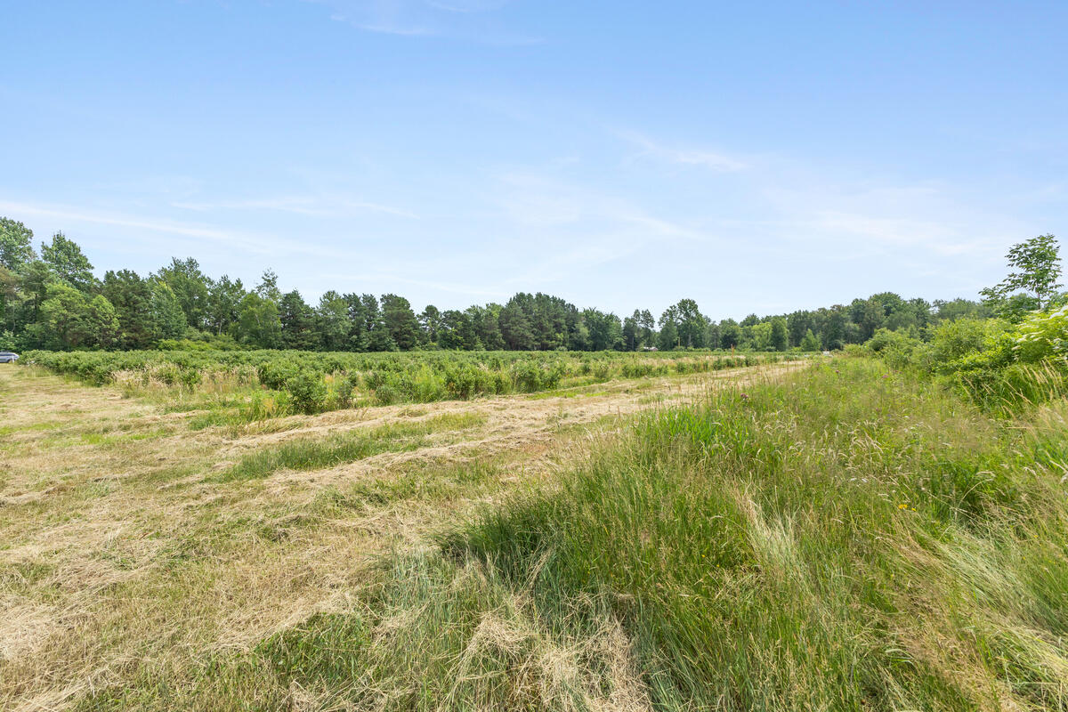 2900 W River Road Property Photo 10