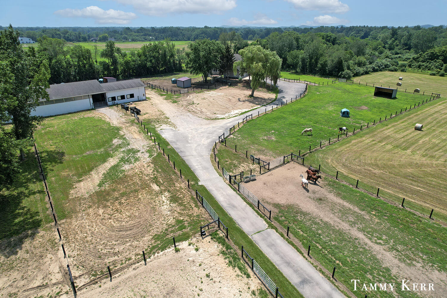 6220 146th Avenue Property Photo 62