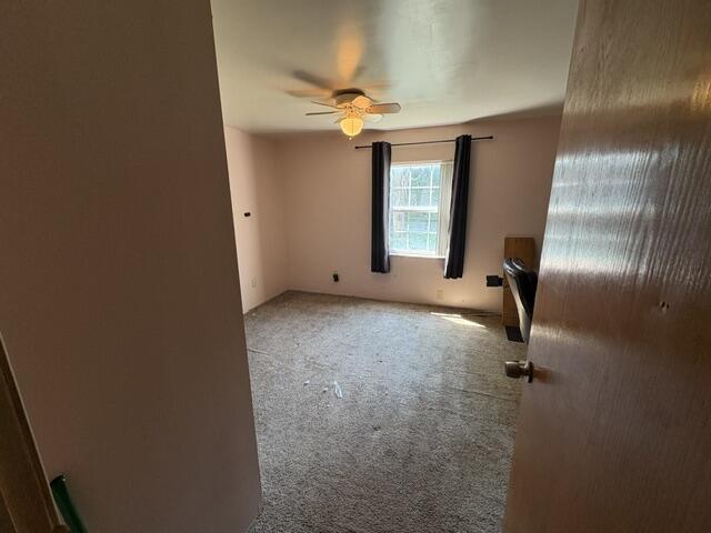 3157 Ludwig Street Property Photo 9
