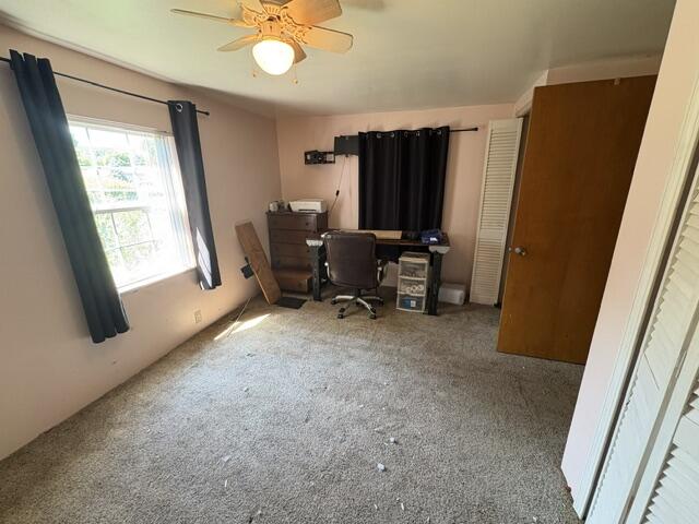 3157 Ludwig Street Property Photo 11