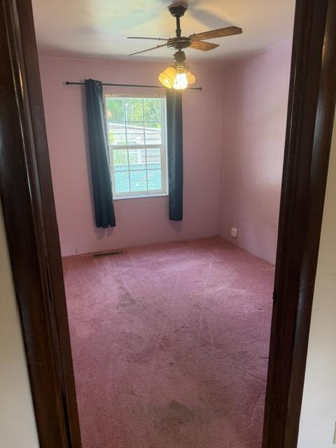 3157 Ludwig Street Property Photo 12