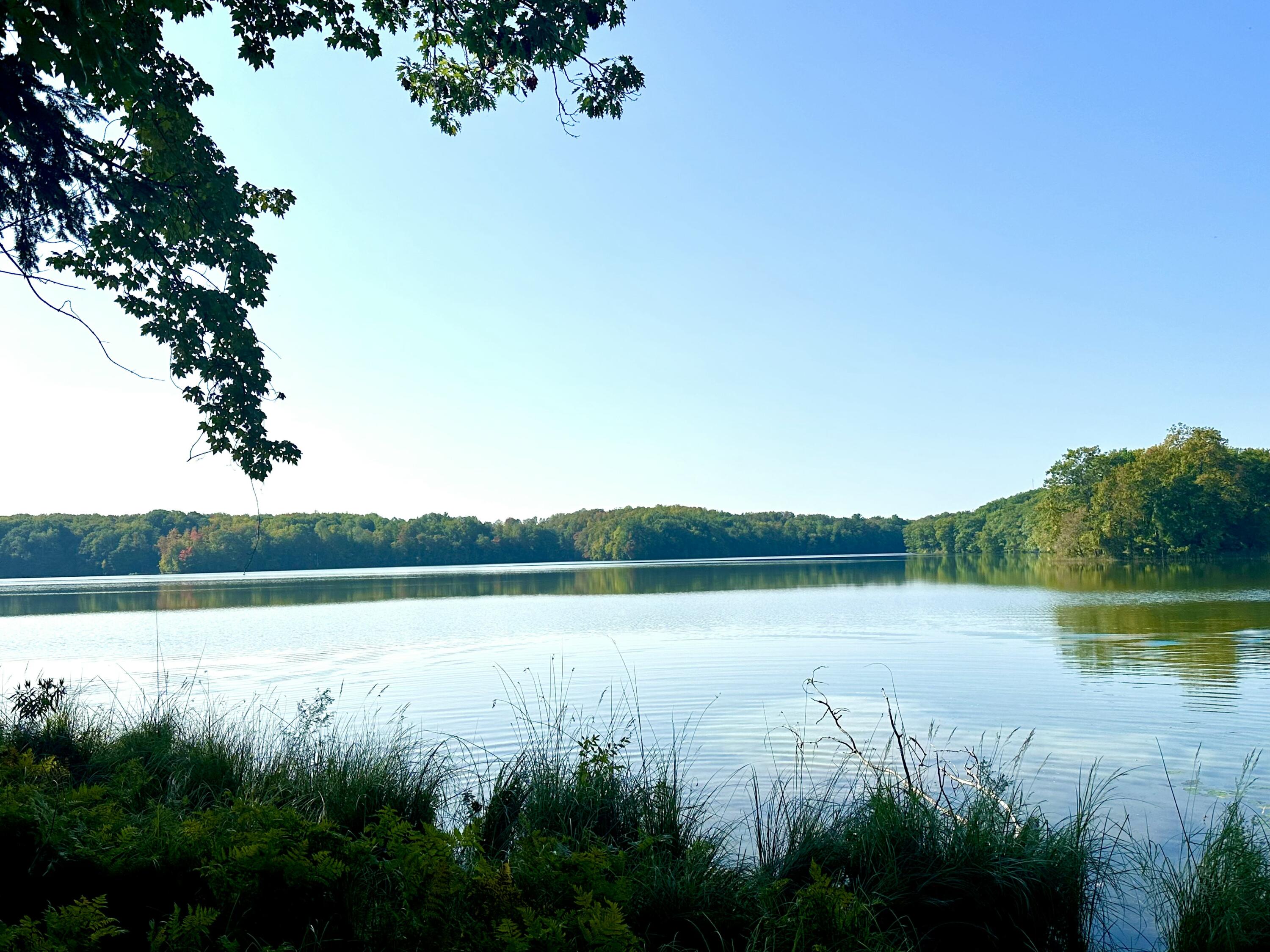 Pristine Woods Lane Property Photo 1