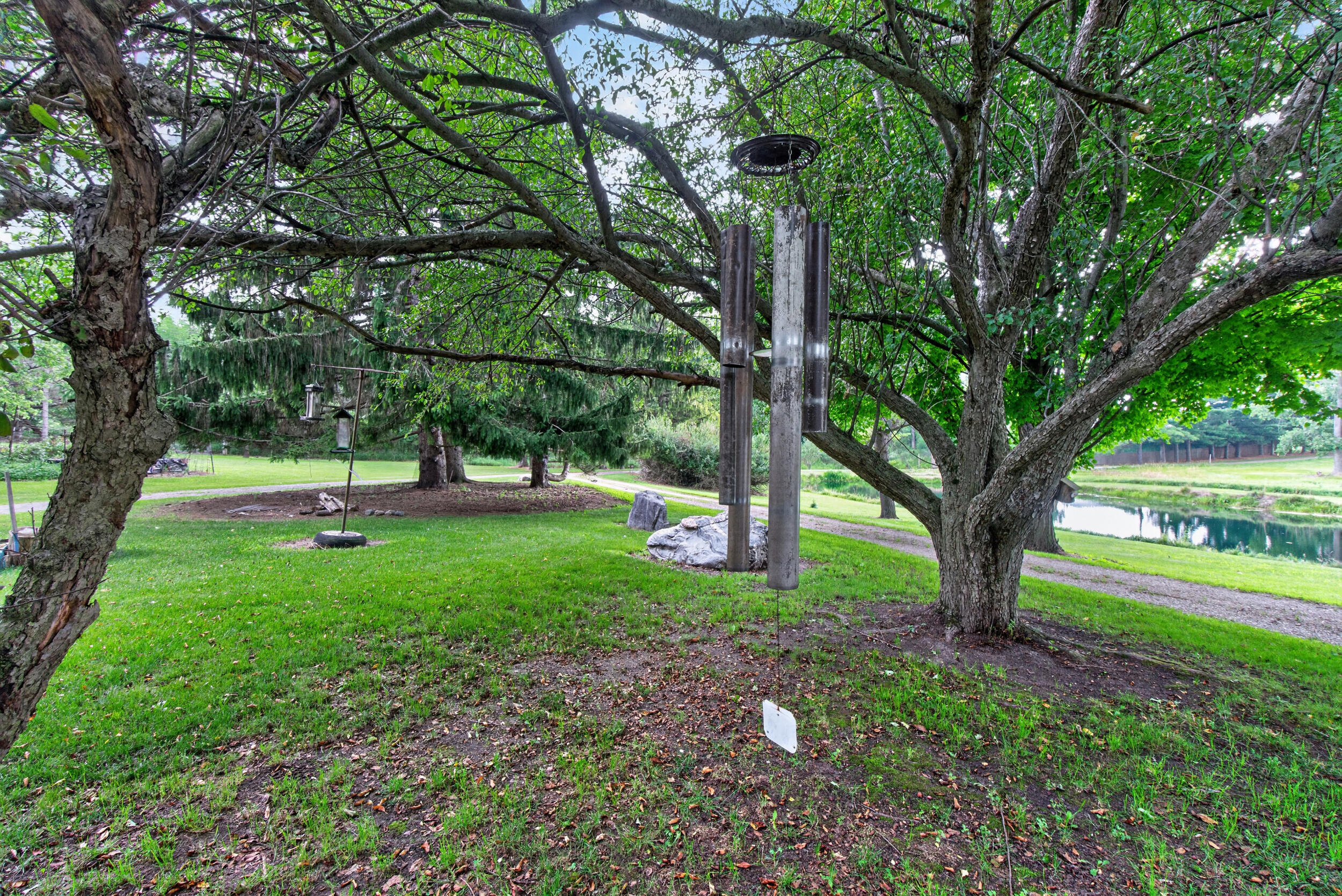 1611 S Williamston Road Property Photo 44