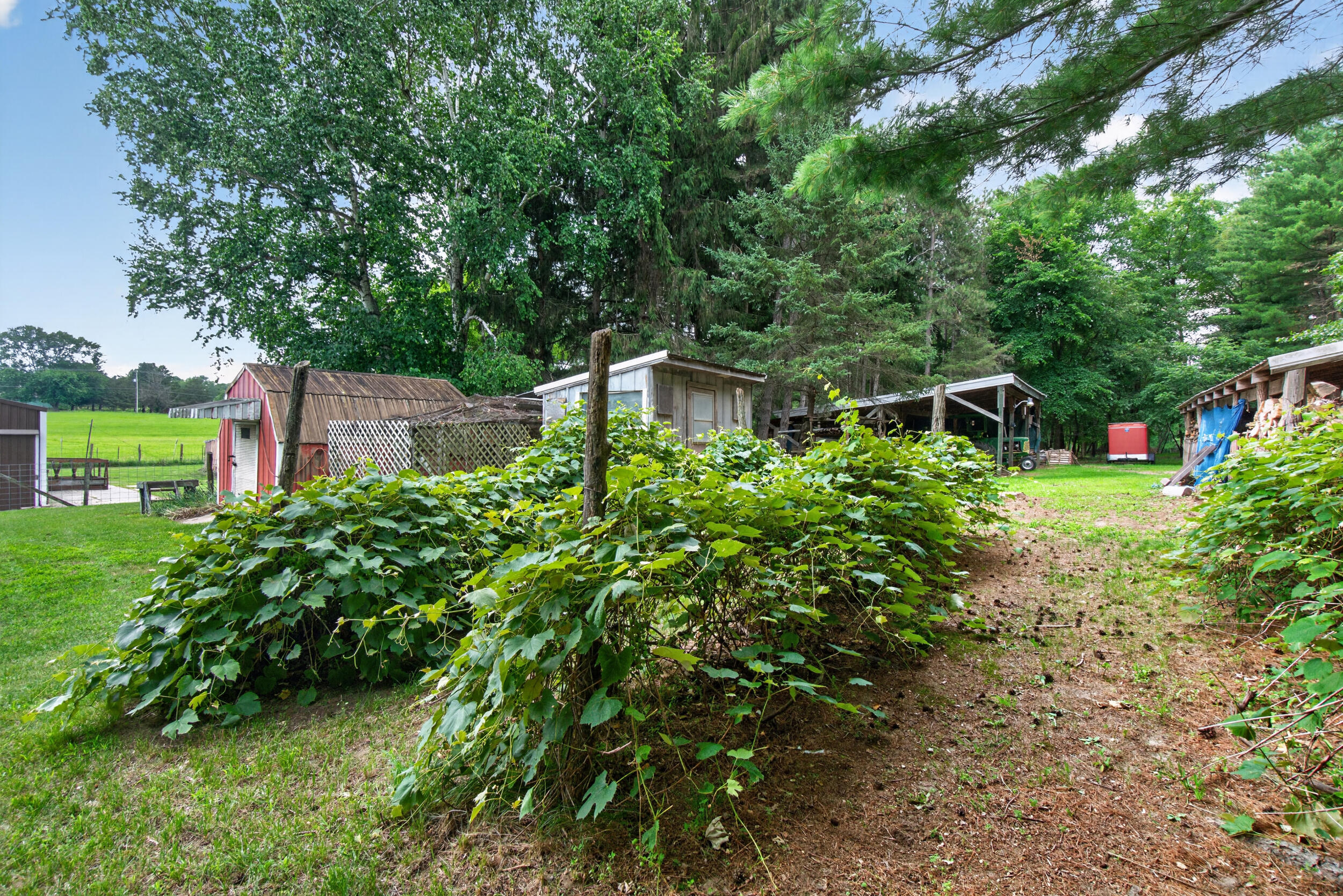 1611 S Williamston Road Property Photo 51