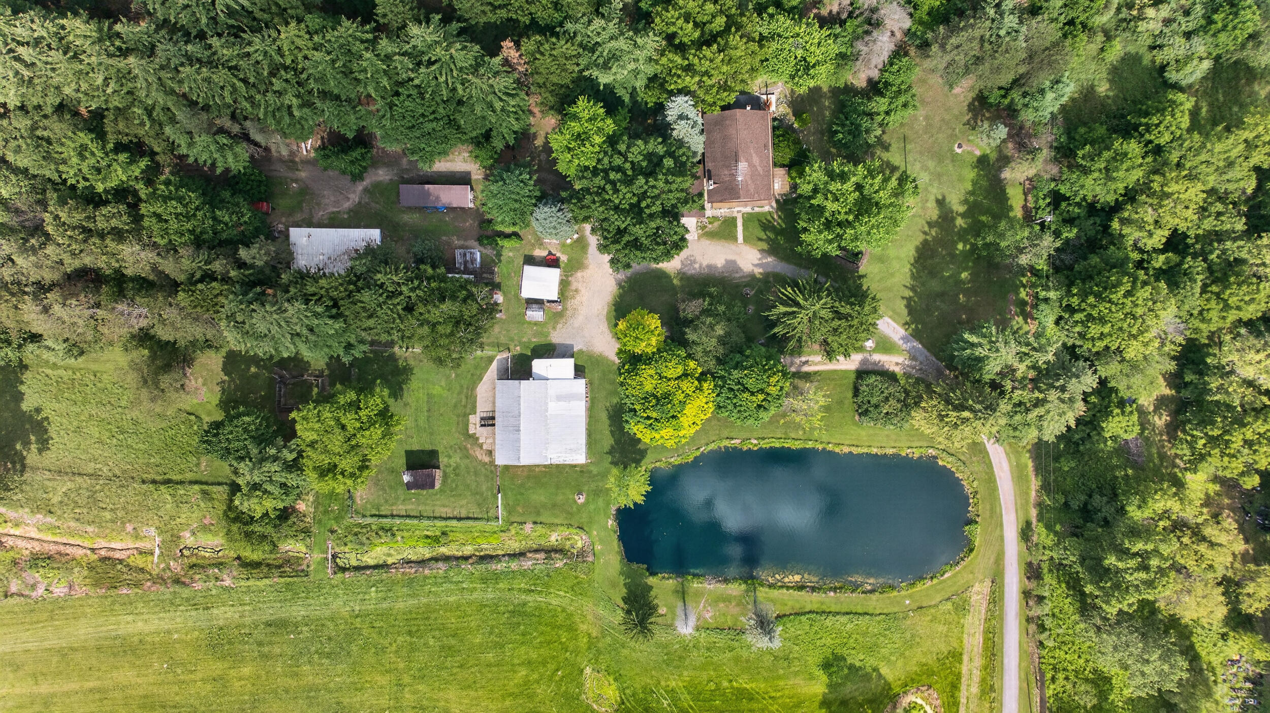 1611 S Williamston Road Property Photo 55