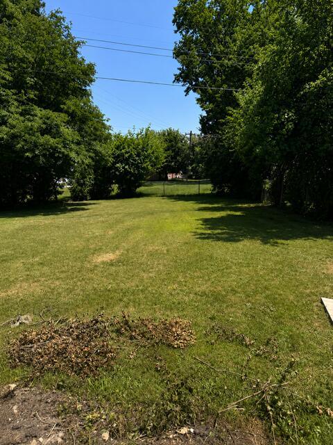 29310 Prestwick Street Property Photo 18