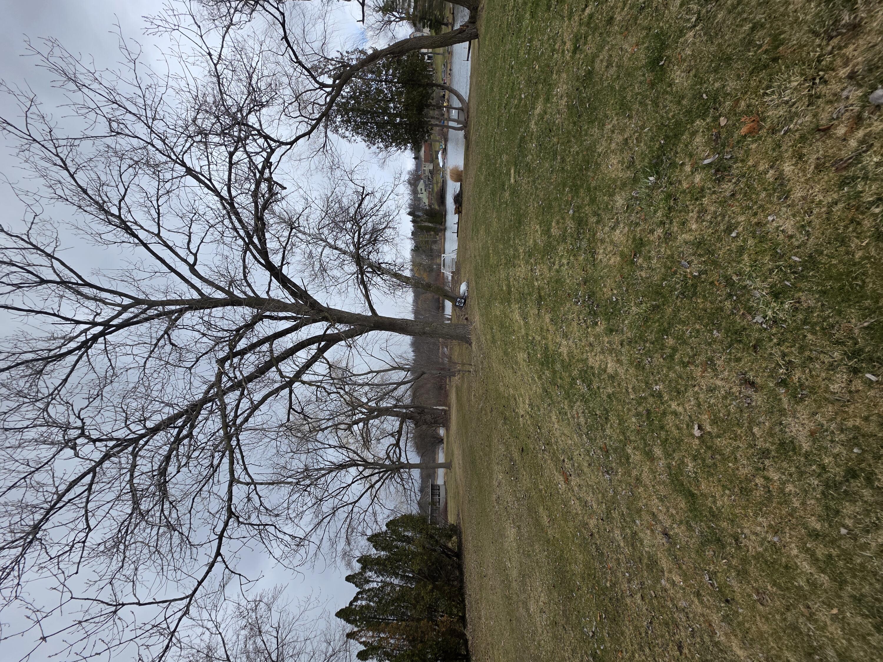 641 Dunleavy Drive Property Photo 1