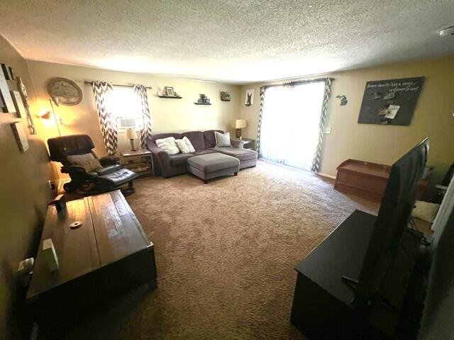 451 S Dangl Road Property Photo 36