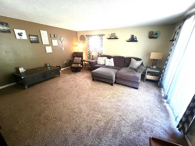 451 S Dangl Road Property Photo 37