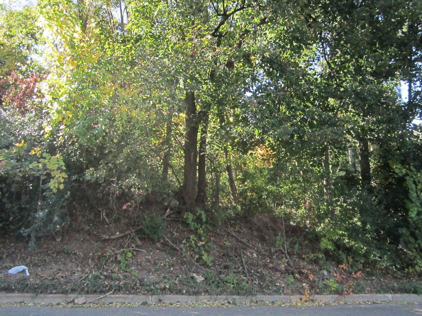 V/L Riverside Drive Property Photo 1
