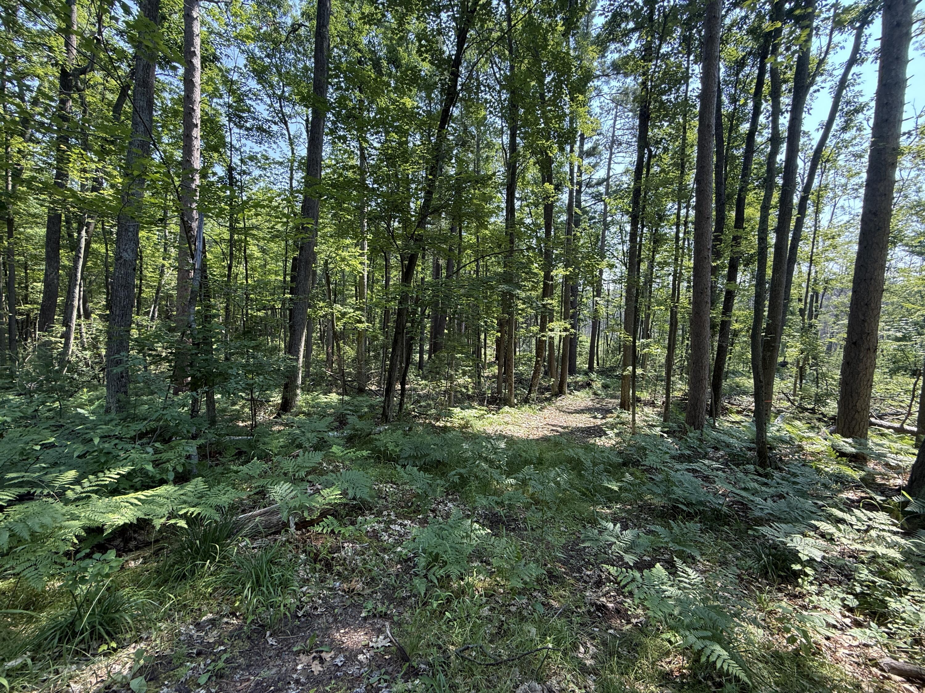 18910 Ellis Lane Property Photo 45