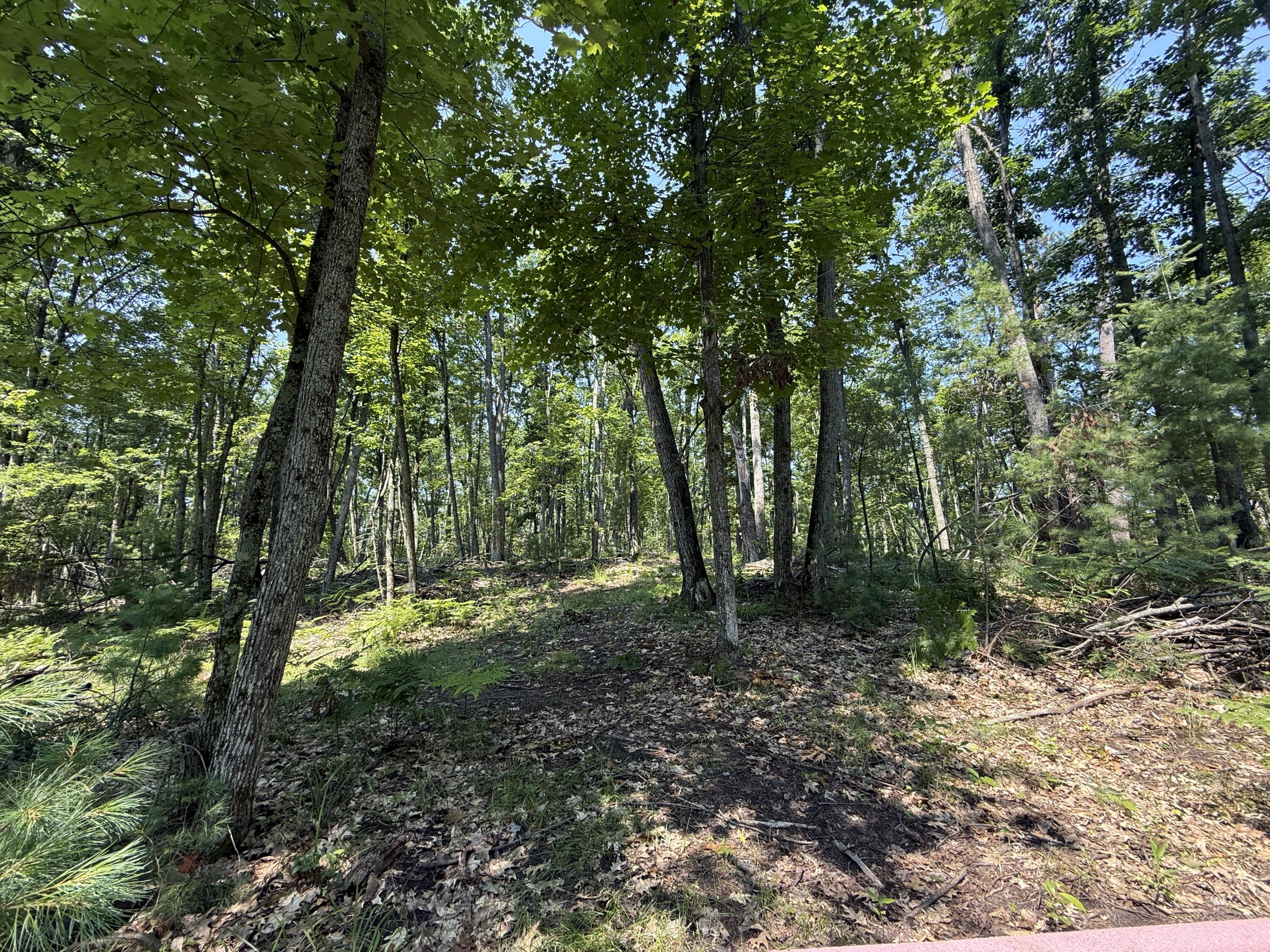 18910 Ellis Lane Property Photo 46