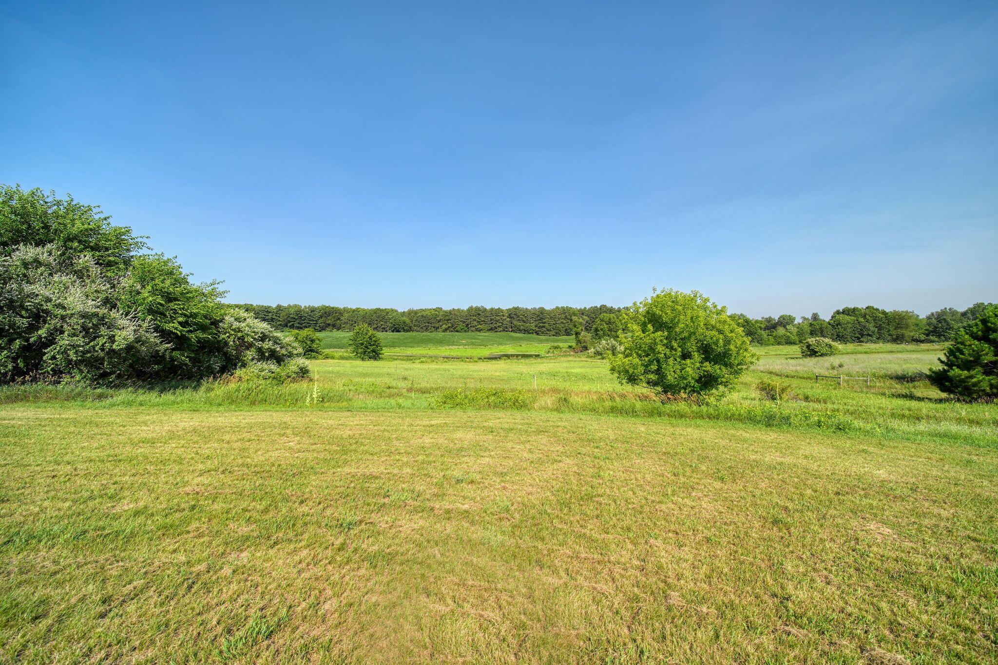 11329 Rosemary Lane Property Photo 53